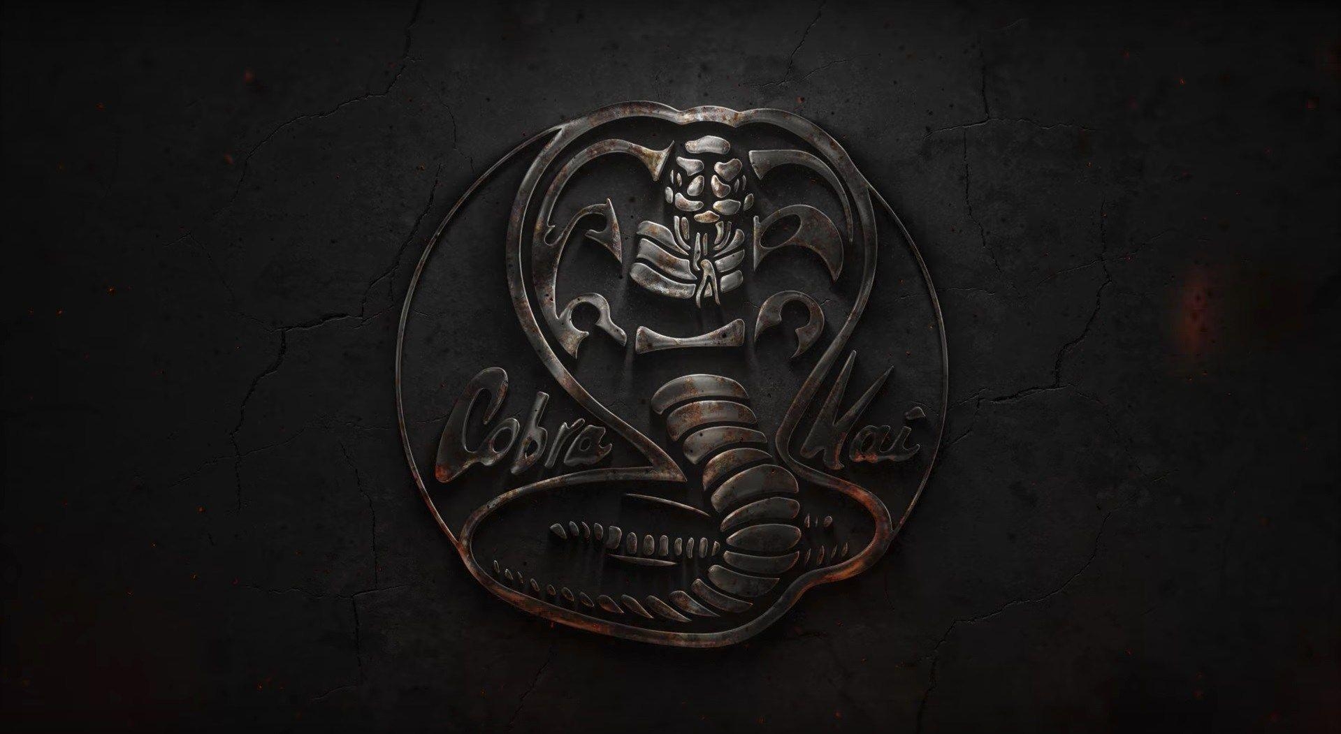 1920x1060 Cobra Kai Wallpaper, Desktop