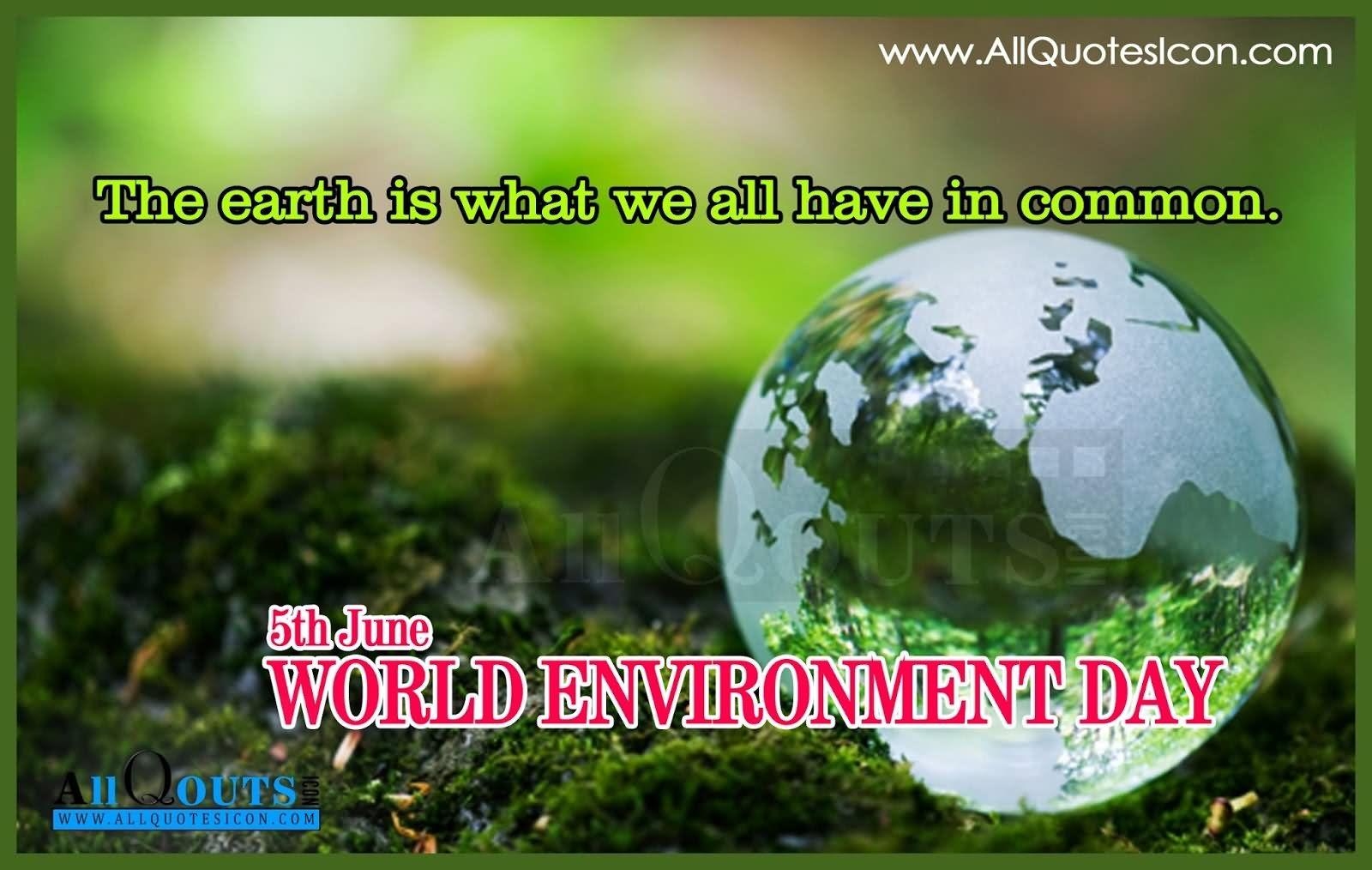 1600x1020 Most Wonderful World Environment Day, Desktop