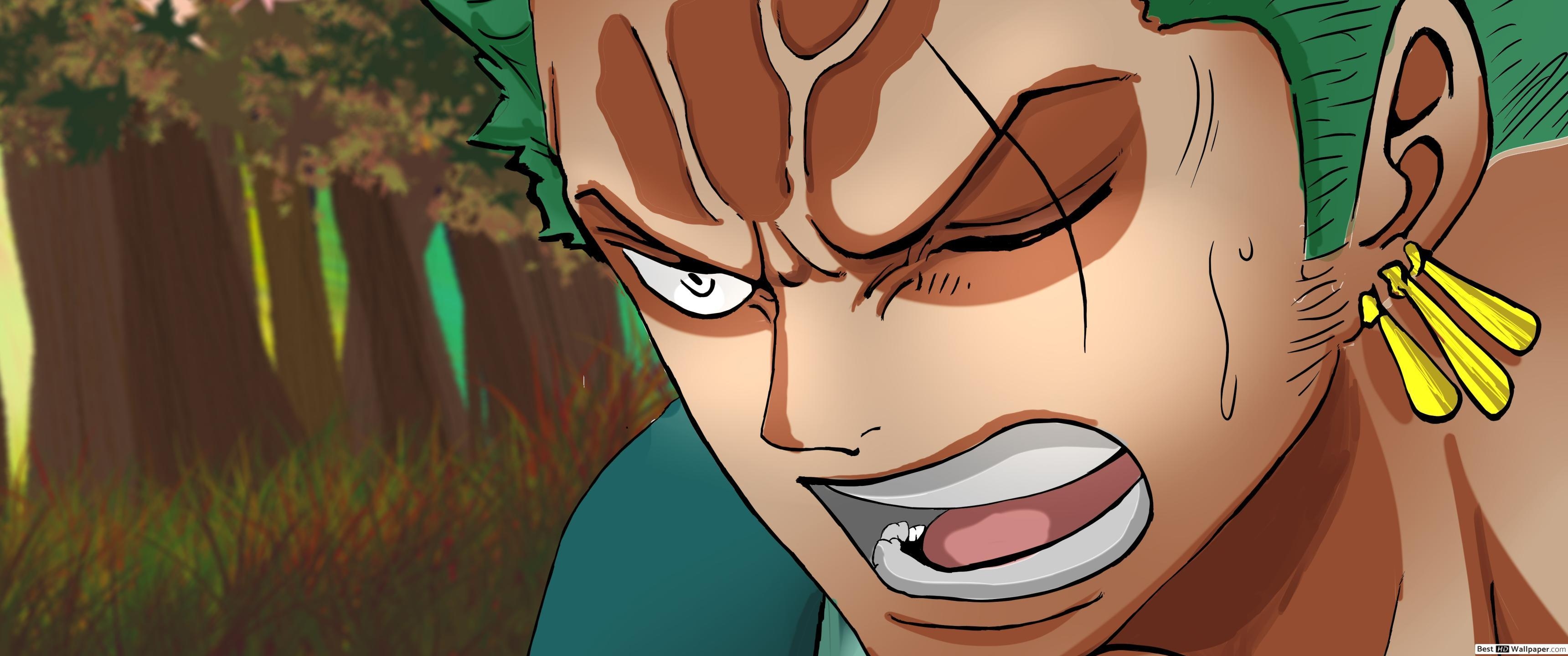 3440x1440 One Piece Zoro Wano Kuni Arc HD wallpaper download, Dual Screen