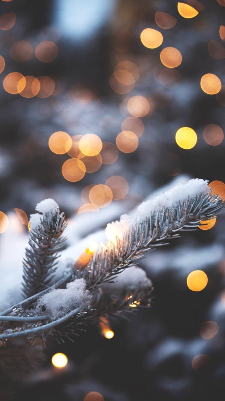 750x1340 Winter Lights Wallpaper, HD Winter Lights Background on WallpaperBat, Phone