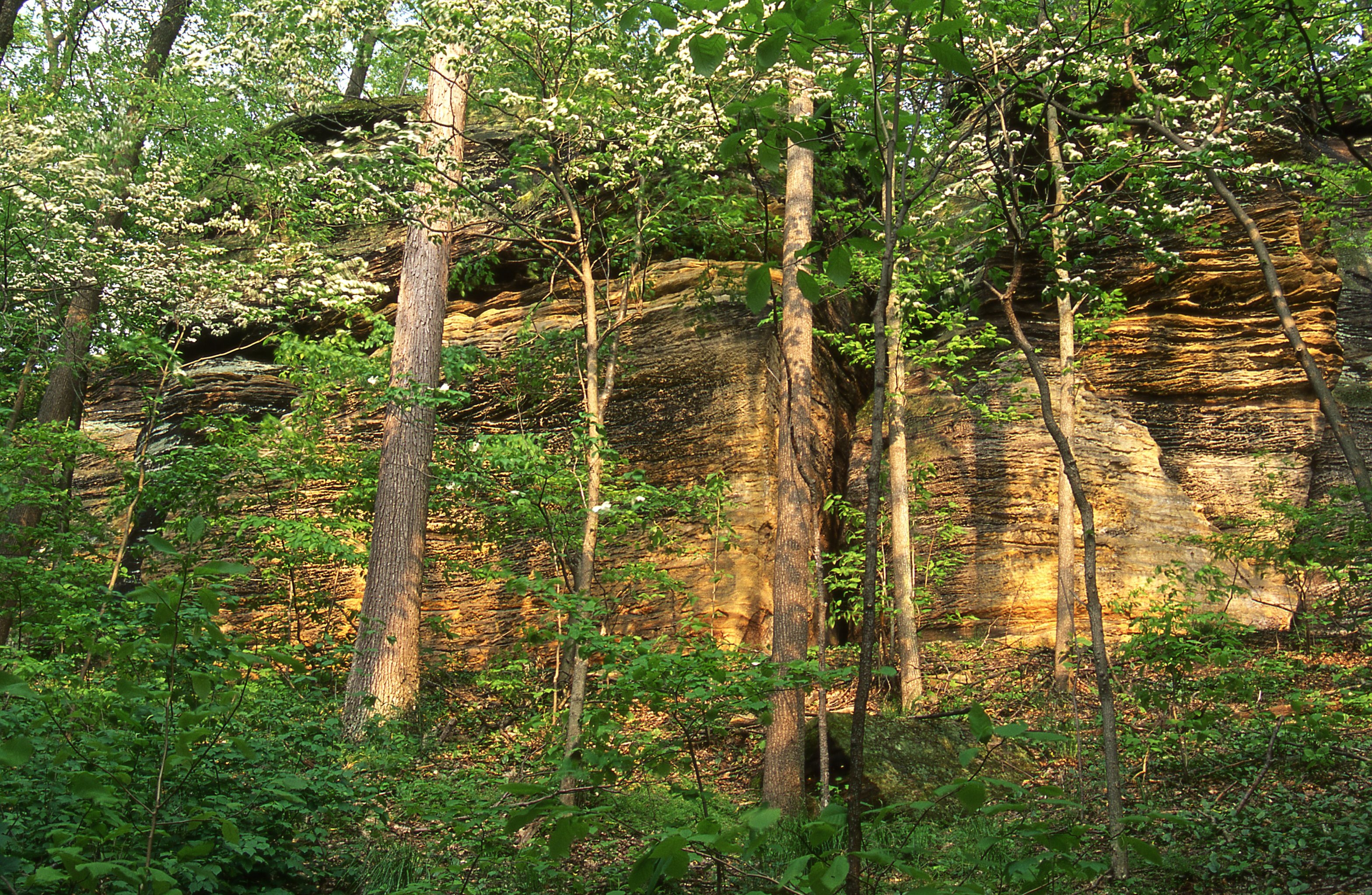 3140x2050 Cuyahoga Valley National Park: 10th Most Visited U.S. National, Desktop