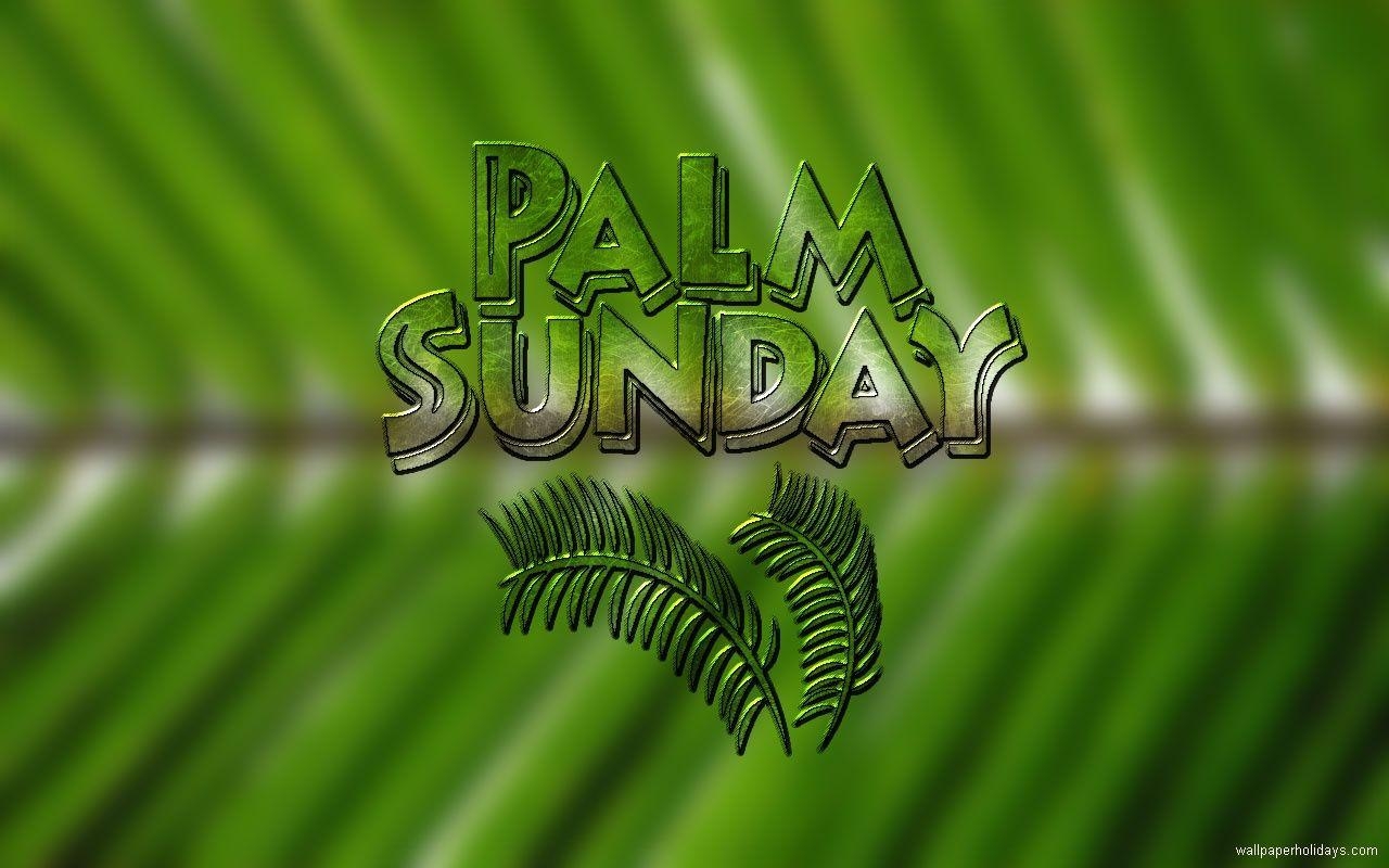 1280x800 Palm Sunday Wallpaper for Desktops, Desktop