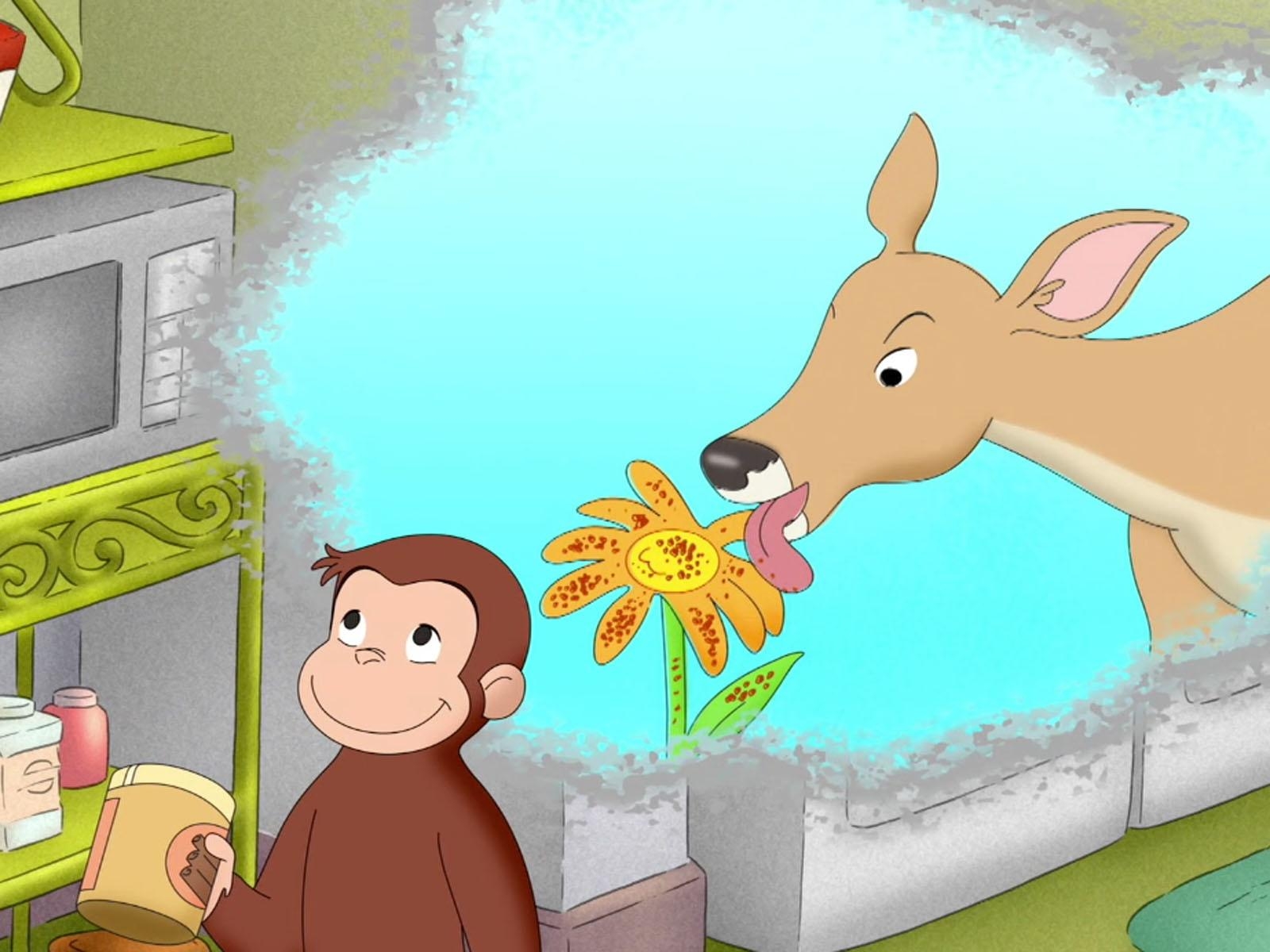 1600x1200 Curious George: Five Senses. PBS, Desktop