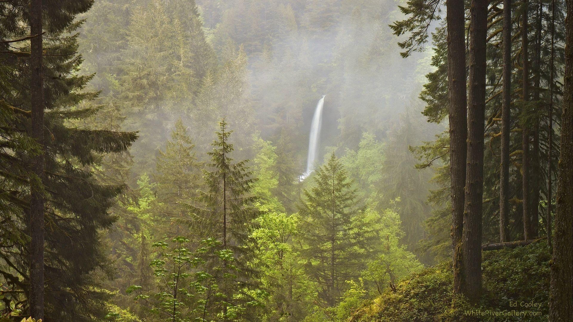 1920x1080 HD Wallpaper: Silver Falls State Park, Oregon. Ed Cooley Fine Art, Desktop