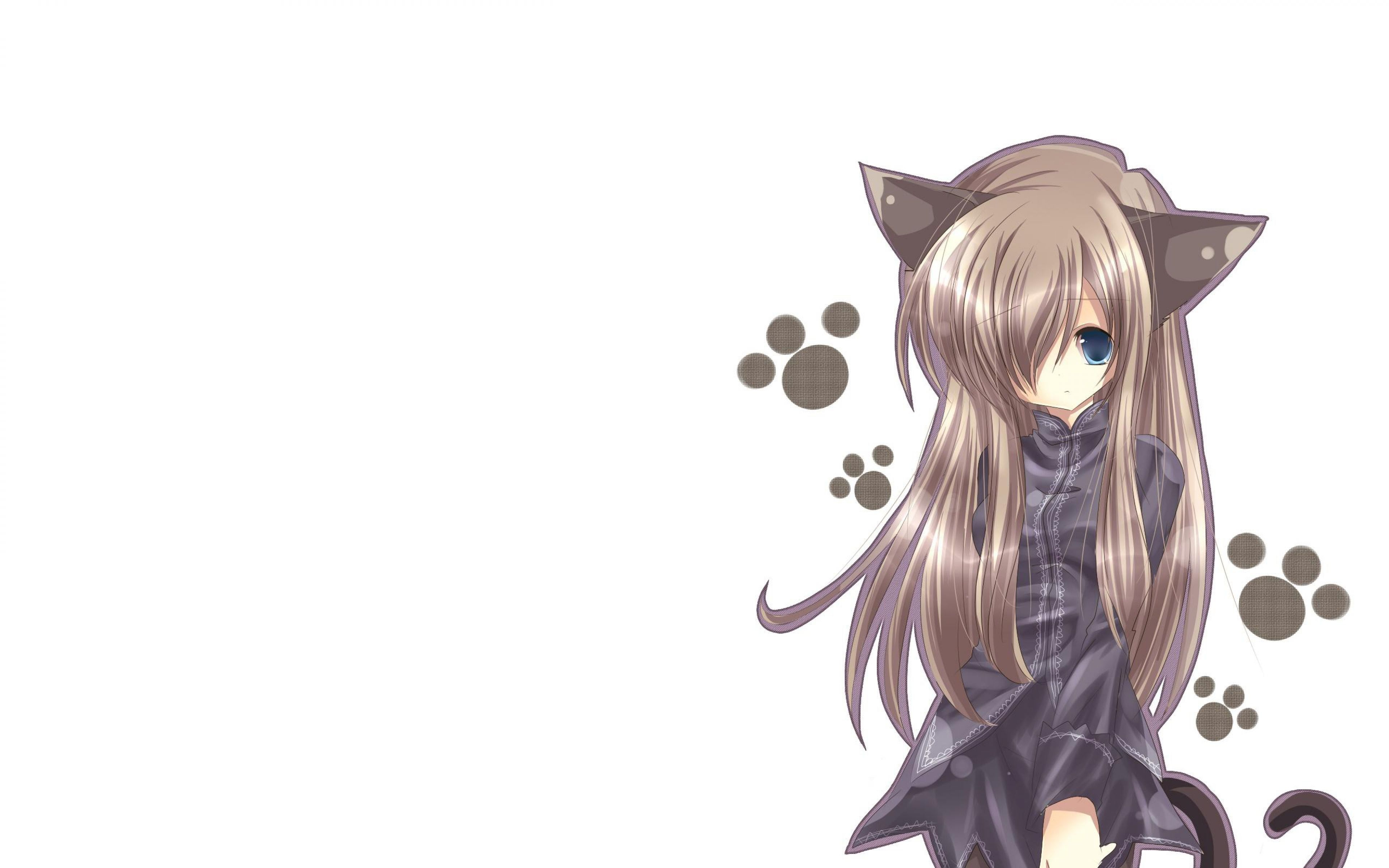 3840x2400 Cute Cat Girl Winter Anime Wallpaper HD Cat Girl Wallpaper HD HD Wallpaper, Desktop