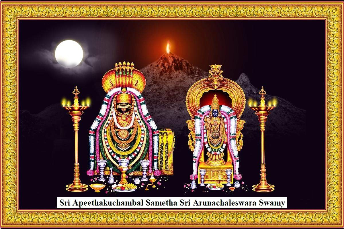 1200x800 Sri Annamalaiyar Astrology Research Centre Photo, Vandavasi, Tiruvannamalai- Picture & Image Gallery, Desktop