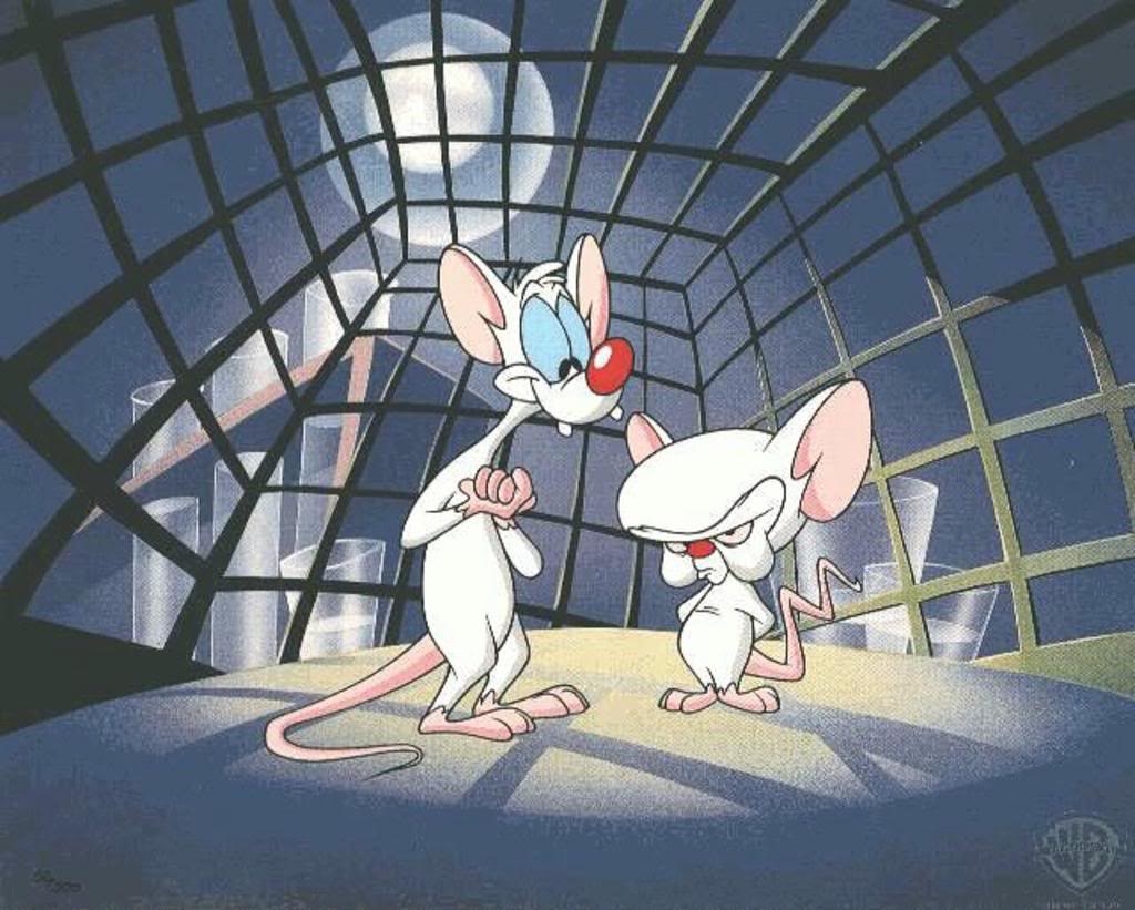 1030x830 Pinky and the Brain Wallpaper, Desktop