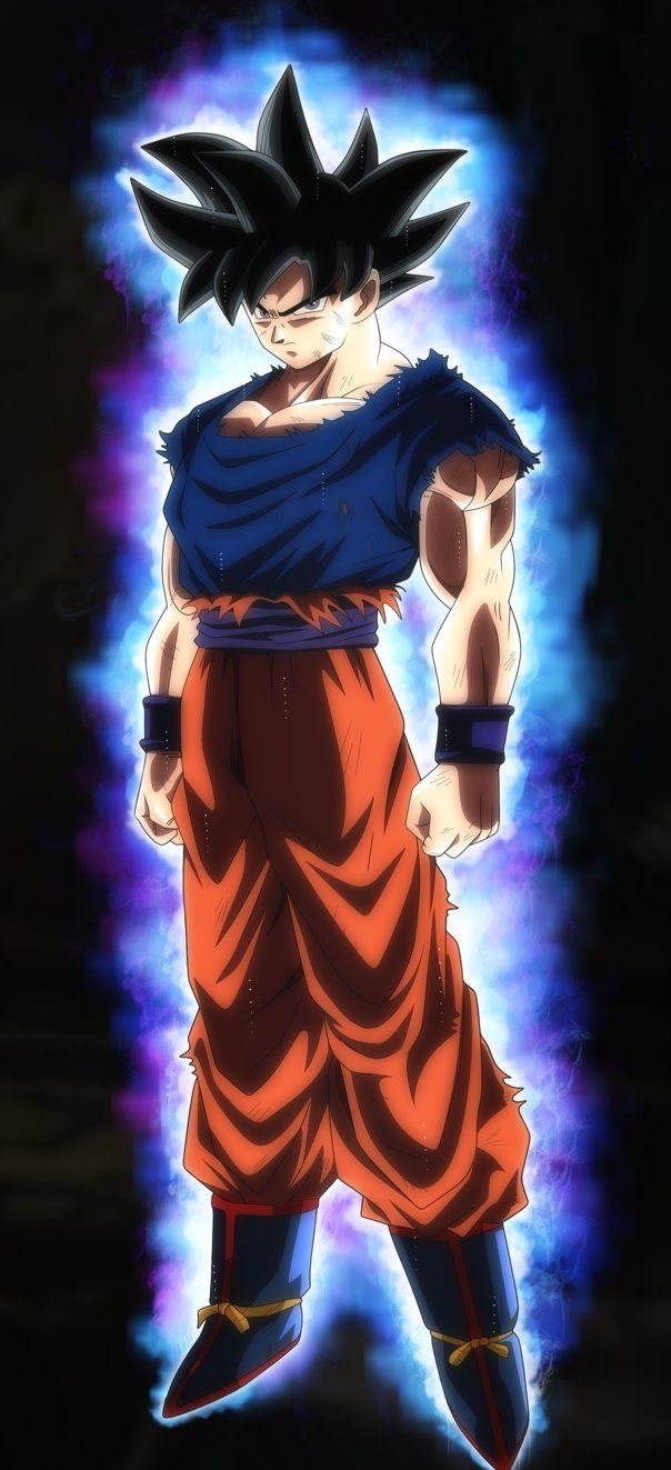 610x1330 Goku Ultra Instinct Wallpaper on.wallpaperafari.com, Phone