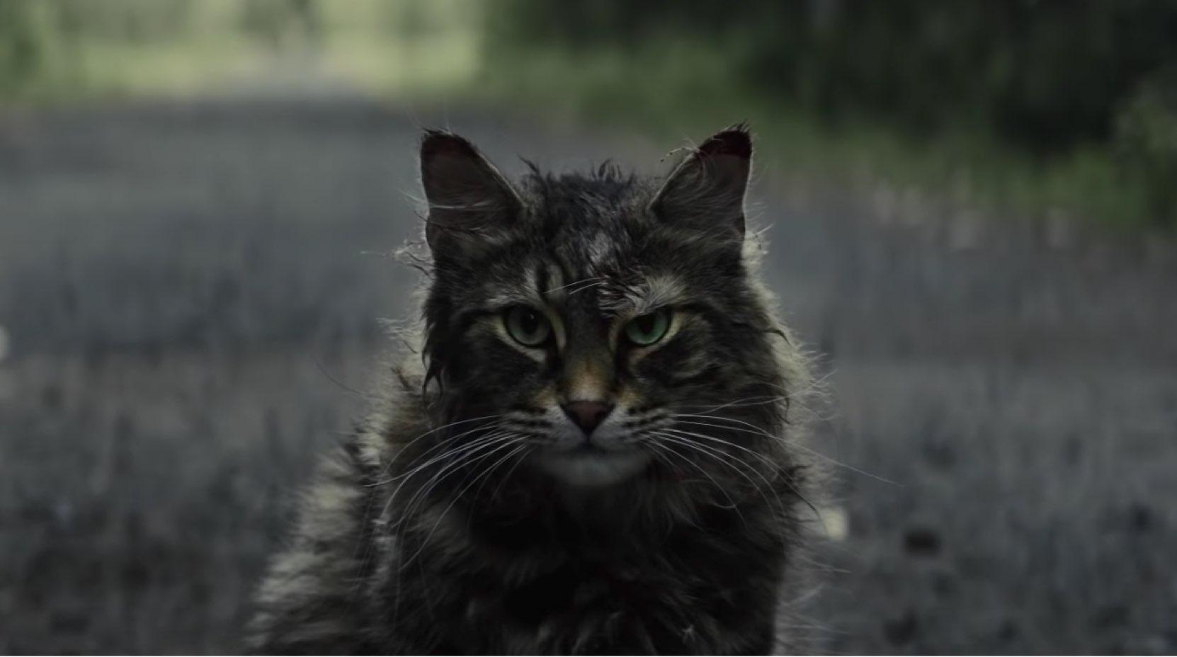 1670x930 Pet Sematary (2019), Desktop