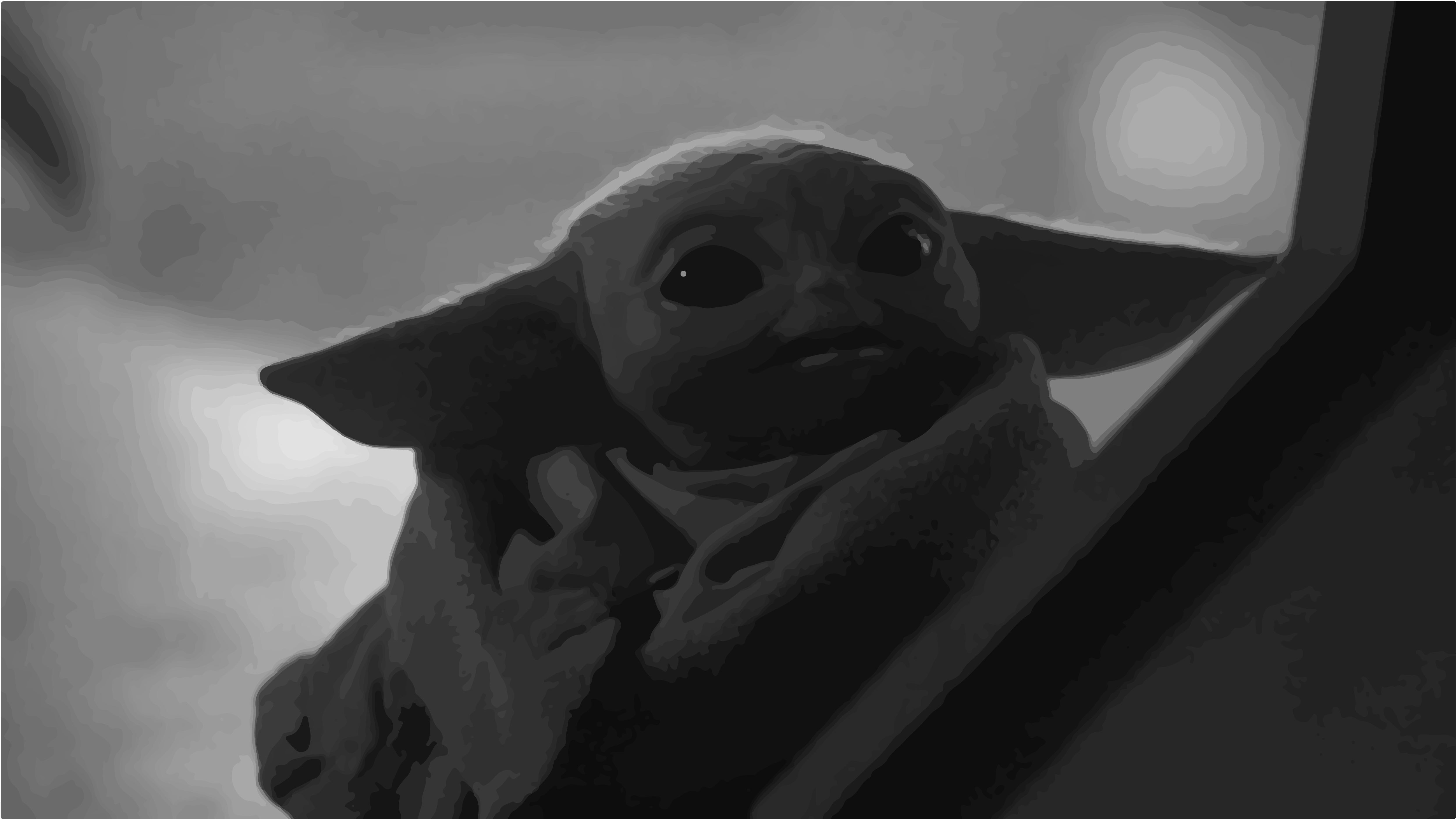 5010x2820 Baby Yoda Wallpaper 4k, Desktop