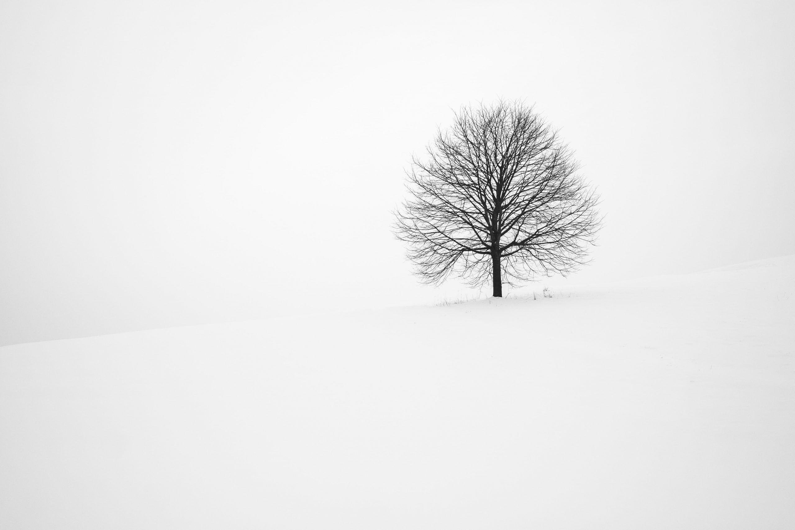 2560x1710 Minimalist Winter Wallpaper Definition, High Resolution HD Wallpaper, High Definition, High Resolution HD Wallpaper, Desktop