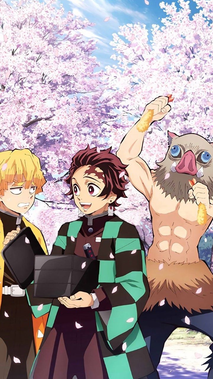 720x1280 Kimetsu no Yaiba Tanjiro Kamado Zenitsu Agatsuma Inosuke Hashibira, Phone