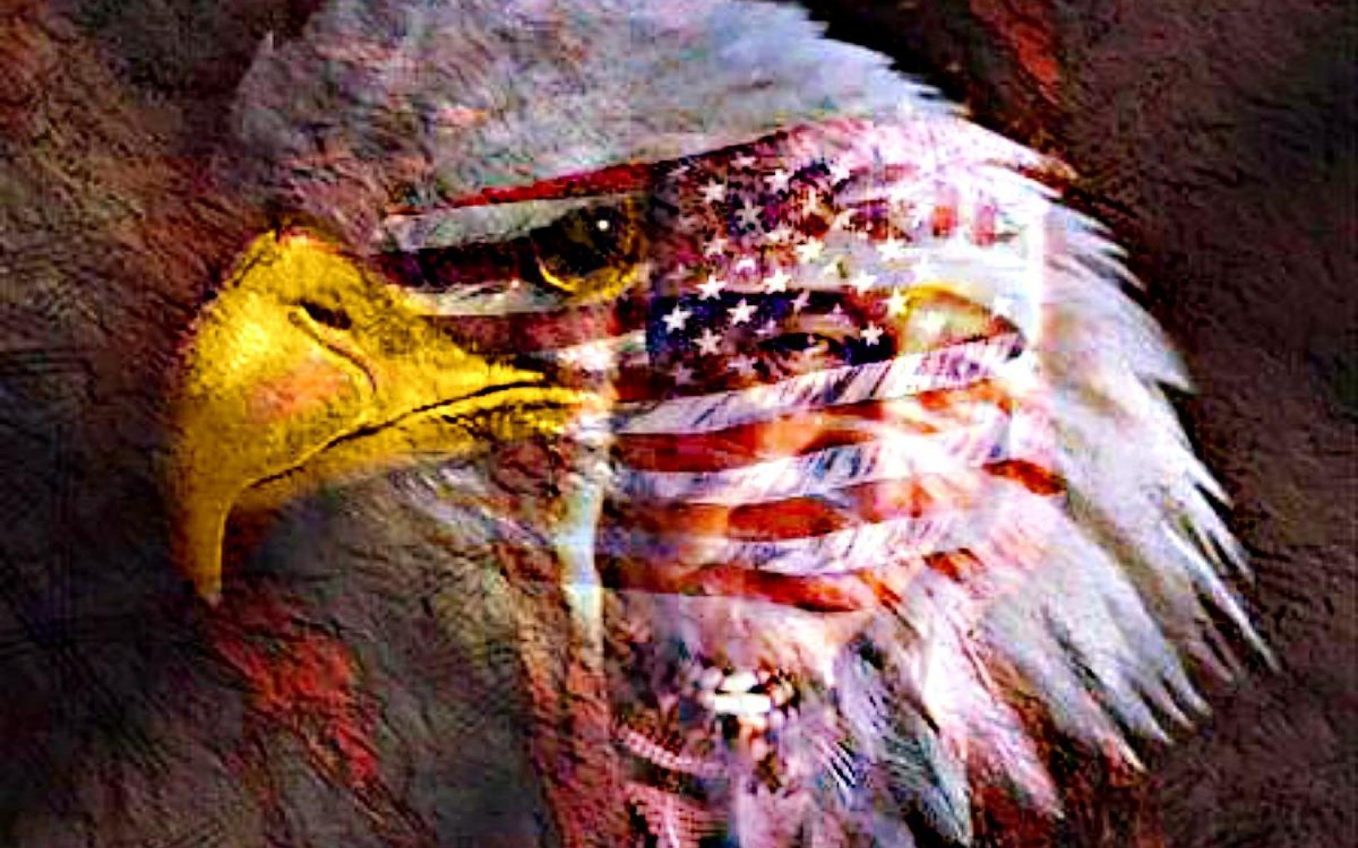 1920x1200 American Eagle Desktop Wallpaper, Desktop