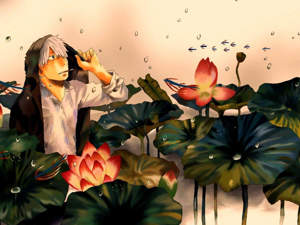 1240x930 mushishi wallpaper 10 - Image And Wallpaper free to download, Desktop