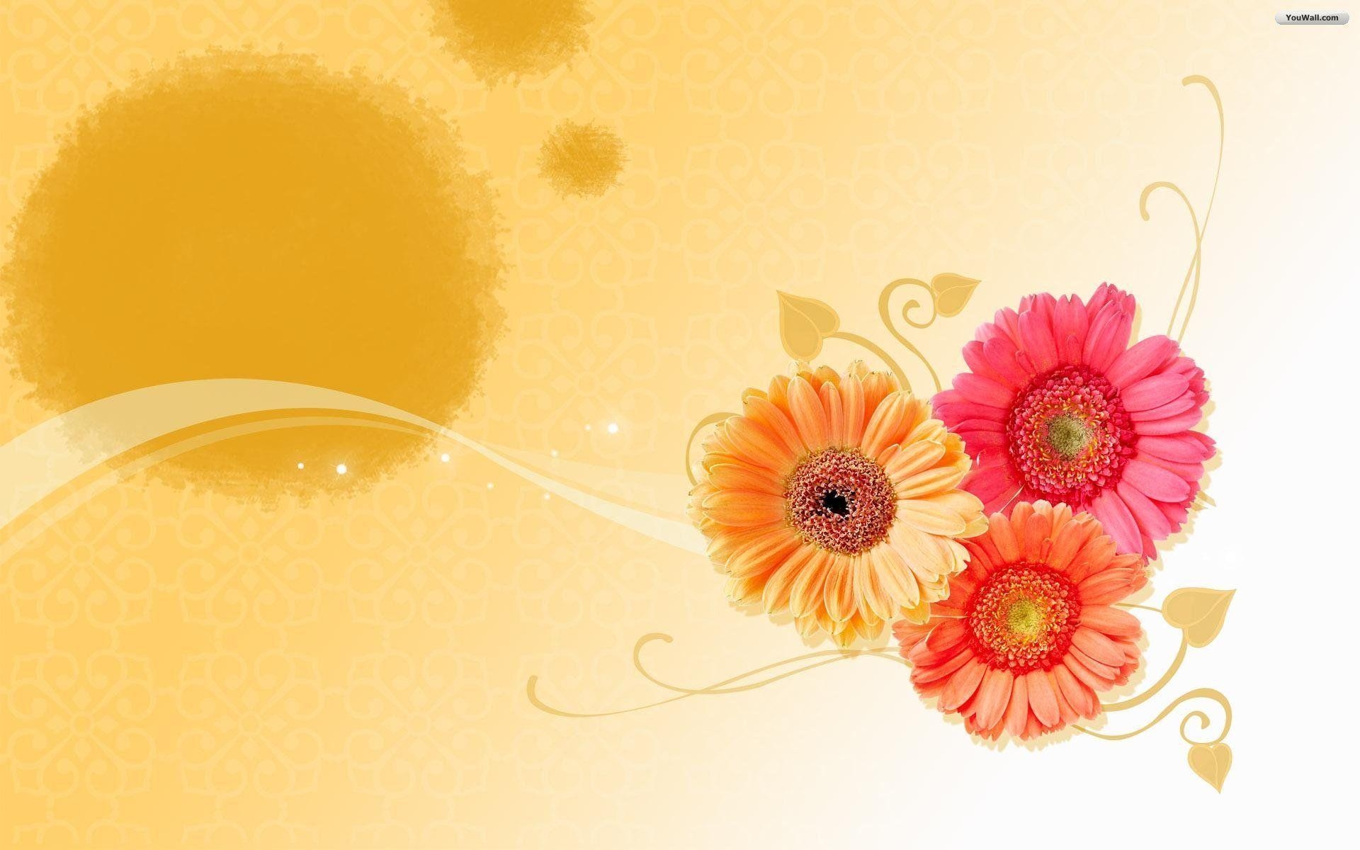 1920x1200 Most Downloaded Orange Flower Wallpaper Full HD, Desktop