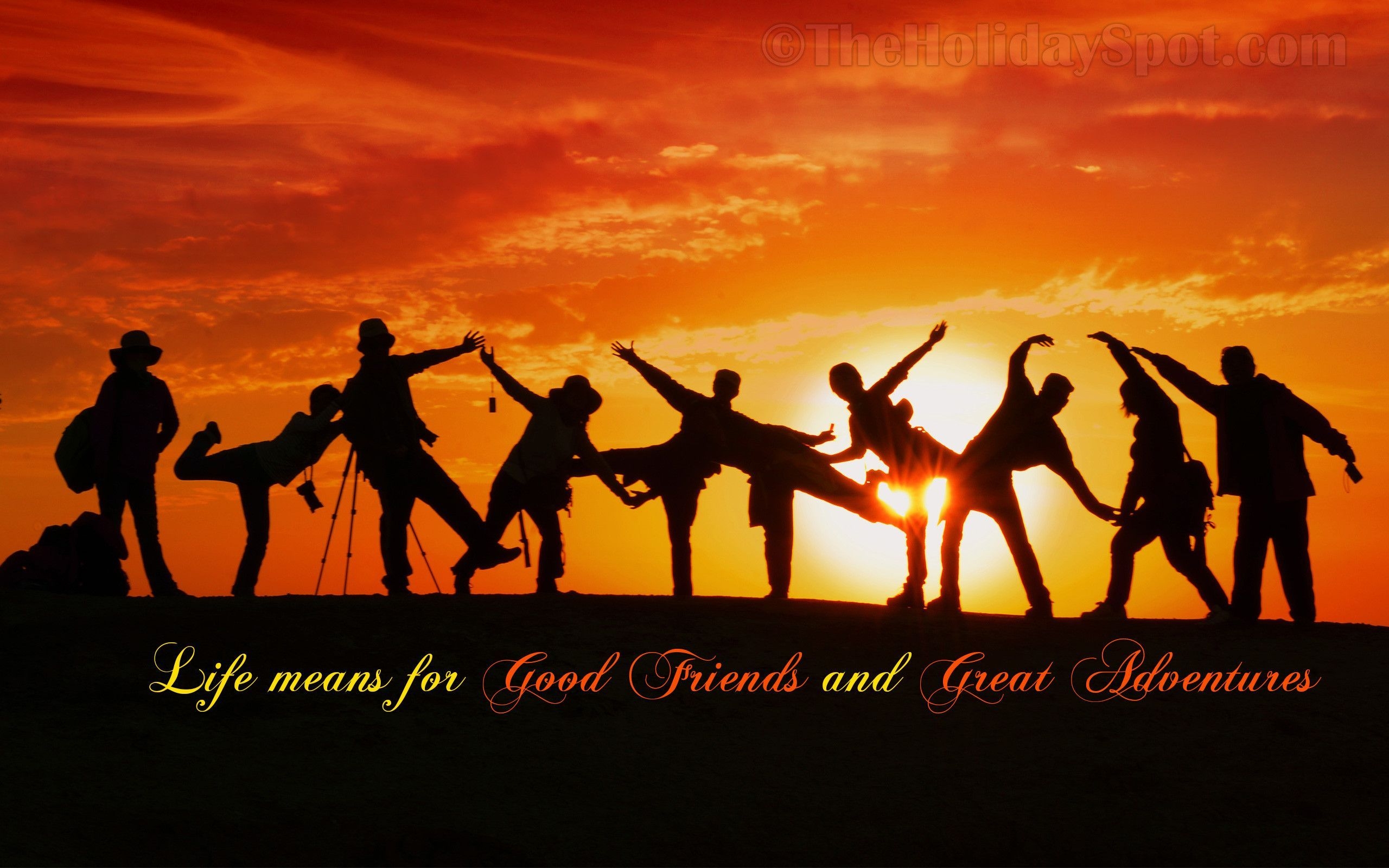 2560x1600 Best Friend Wallpaper Free Best Friend Background, Desktop