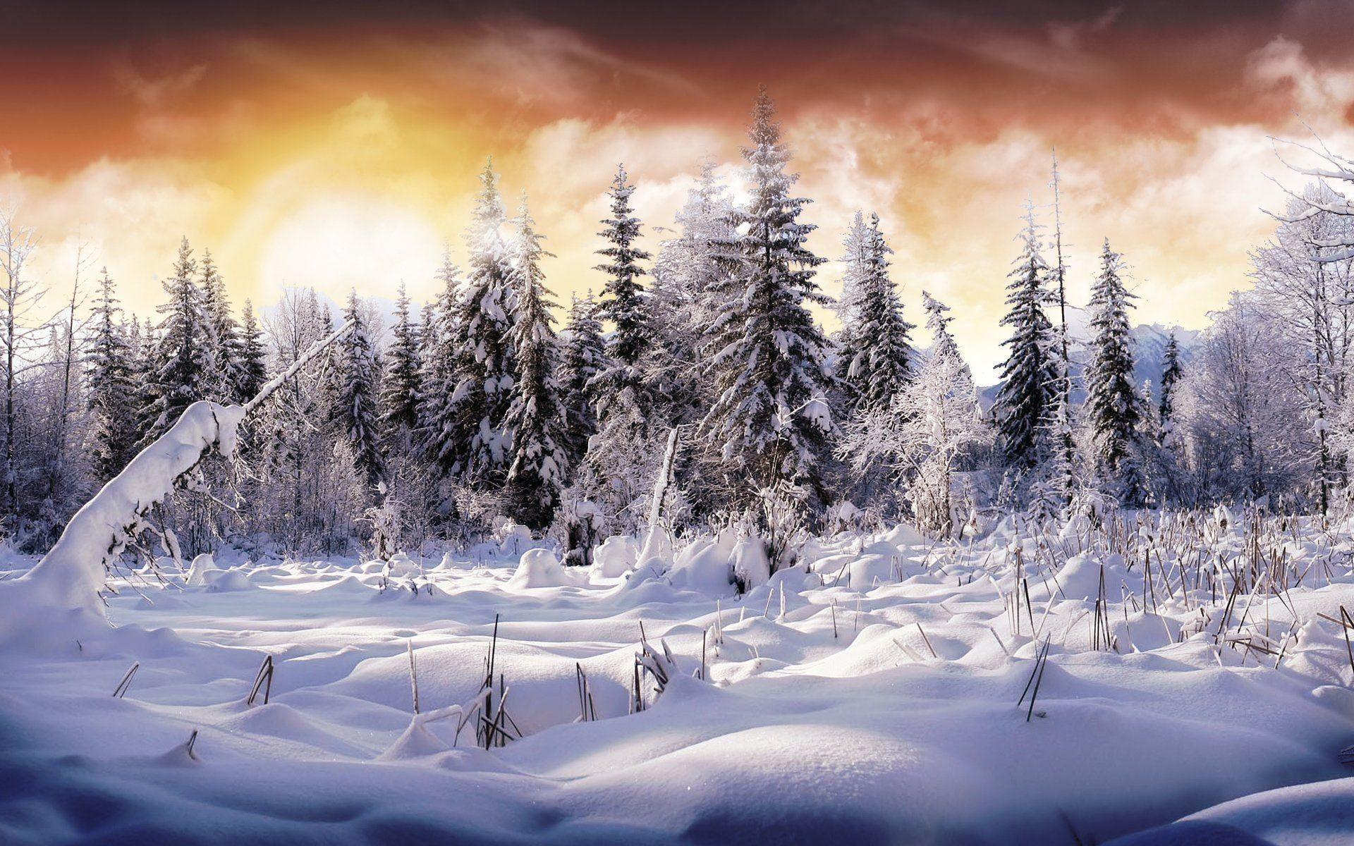 1920x1200 2725 Winter HD Wallpaper and Background Image, Desktop