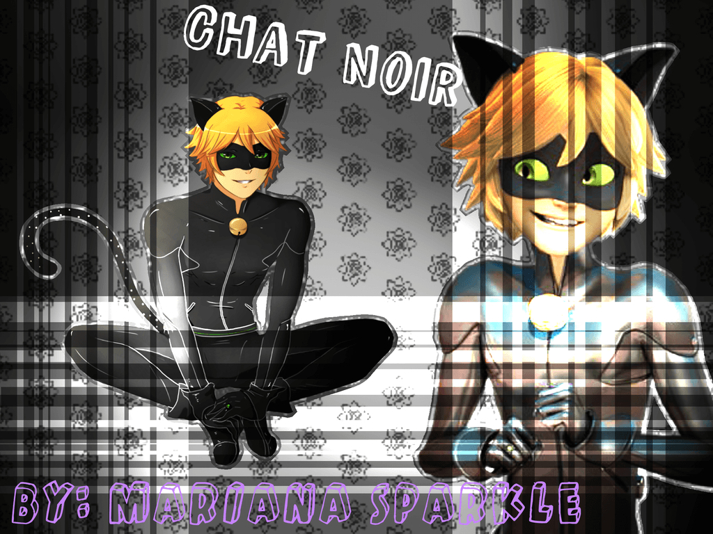 1030x770 Ladybug and Chat Noir Wallpaper, Desktop