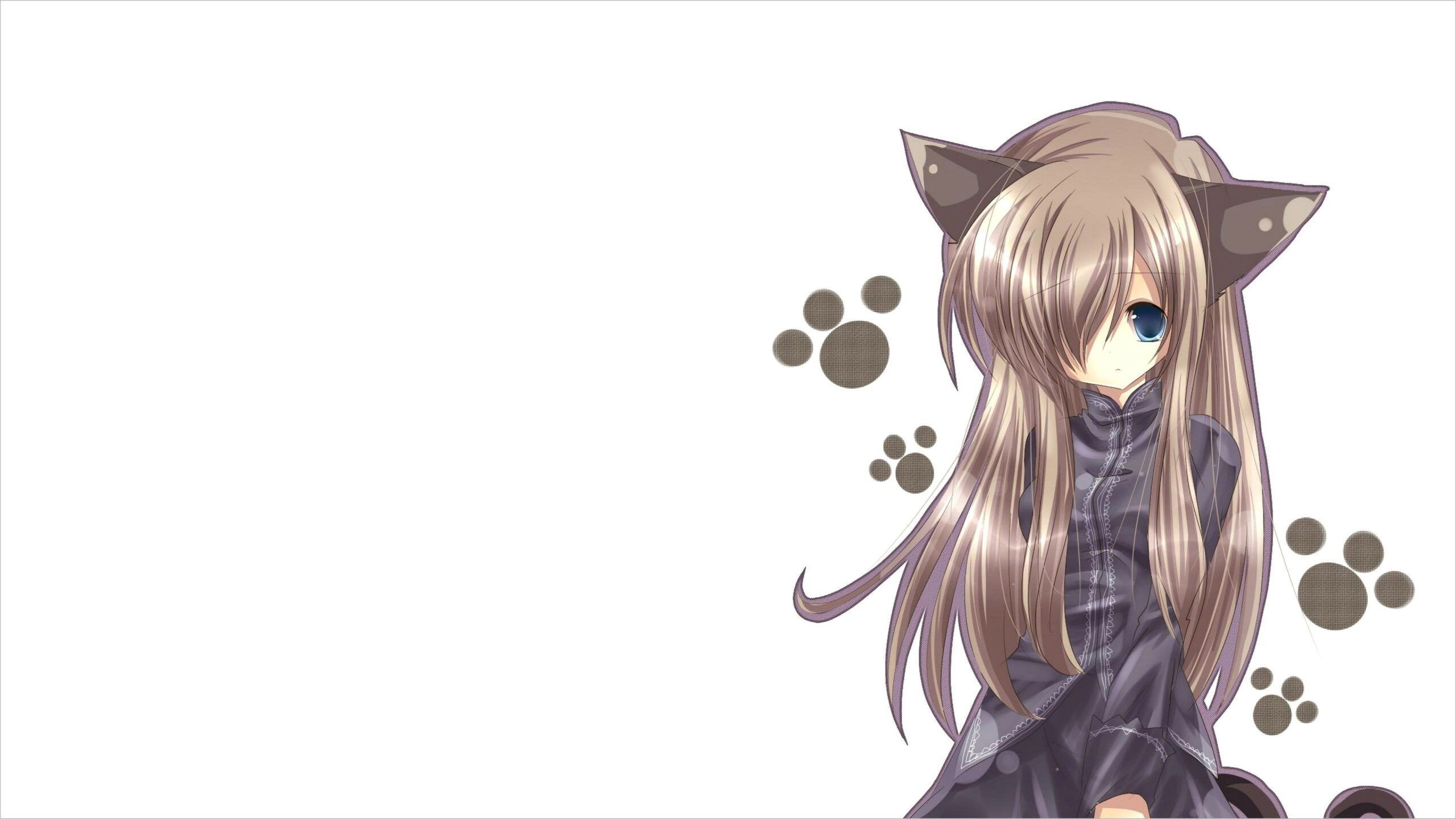 2560x1450 Anime Girls 4k Wallpaper. Cute anime cat, Anime, Anime, Desktop