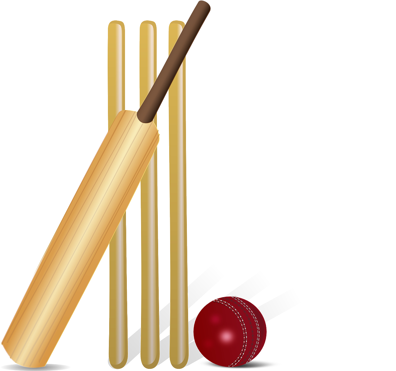 1280x1200 Cricket Bat vector graphic, Desktop