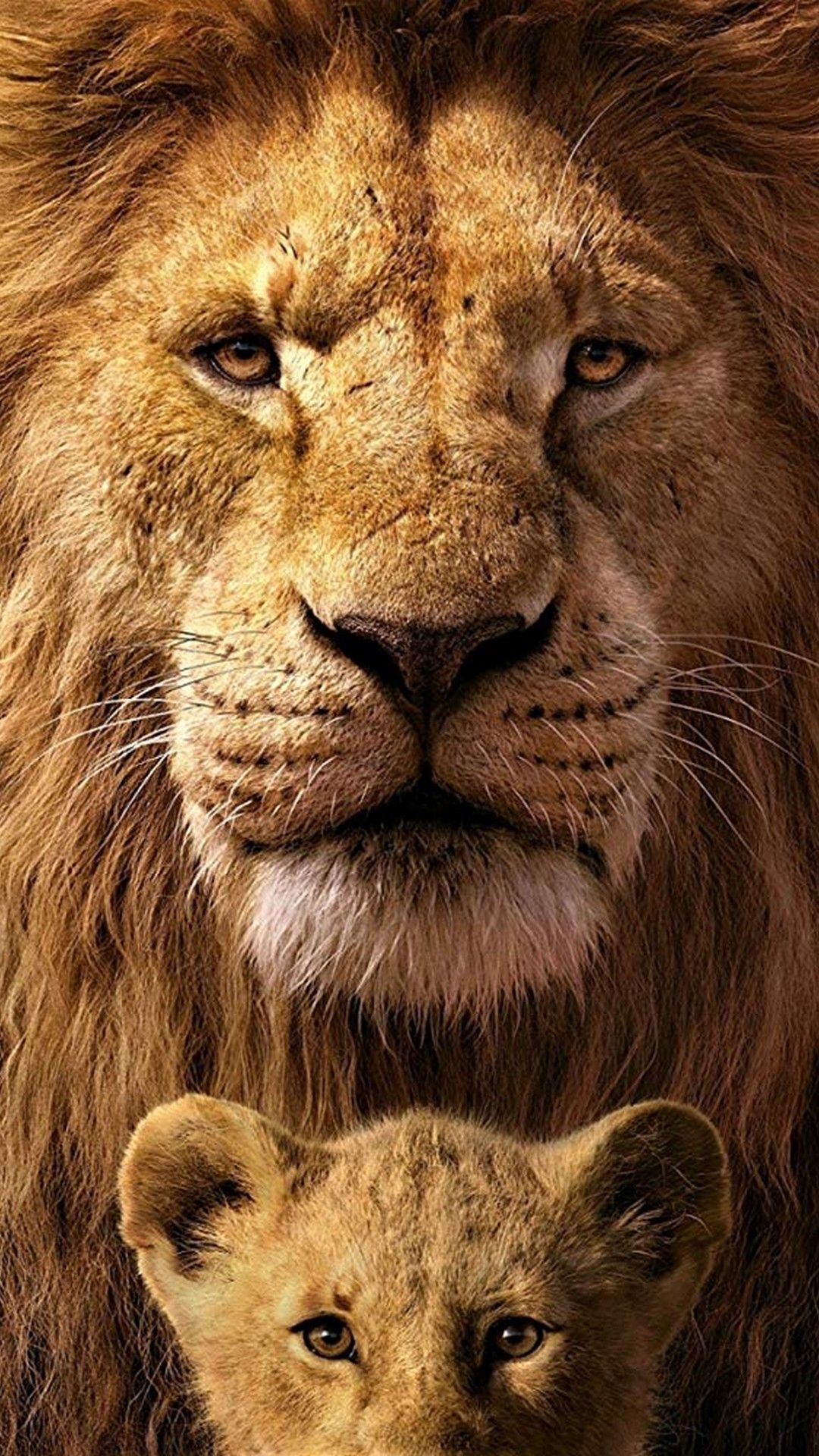 1080x1920 The Lion King iPhone 6 Wallpaper Movie Poster Wallpaper HD, Phone