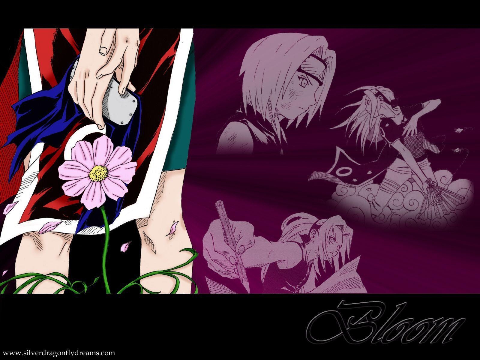 1600x1200 Haruno Sakura Shippuuden Wallpaper, Desktop