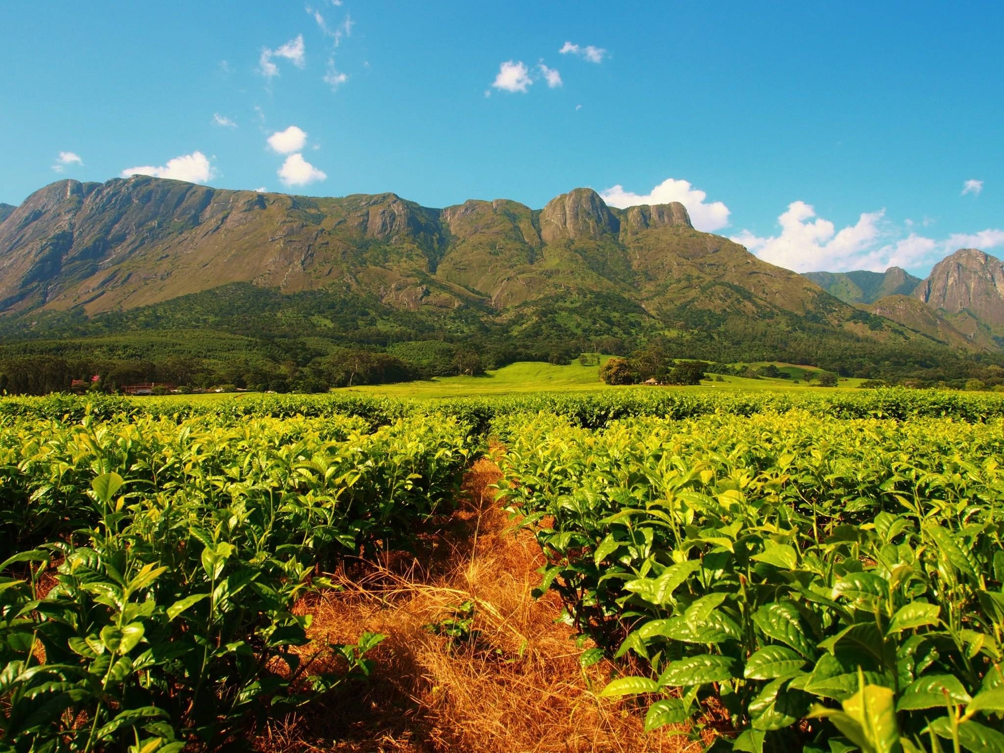 2050x1540 Mount Mulanje, Malawi [], Desktop