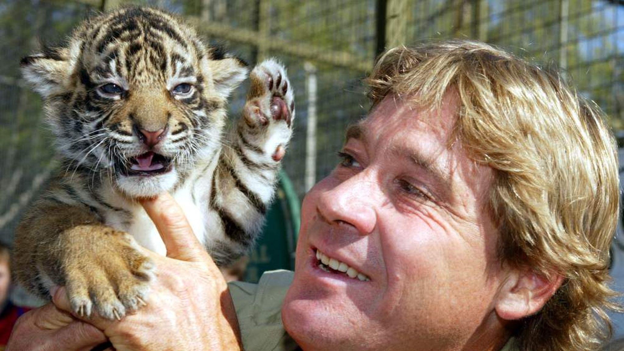 2050x1160 Steve Irwin's Dying Moments Revealed On Camera, Desktop