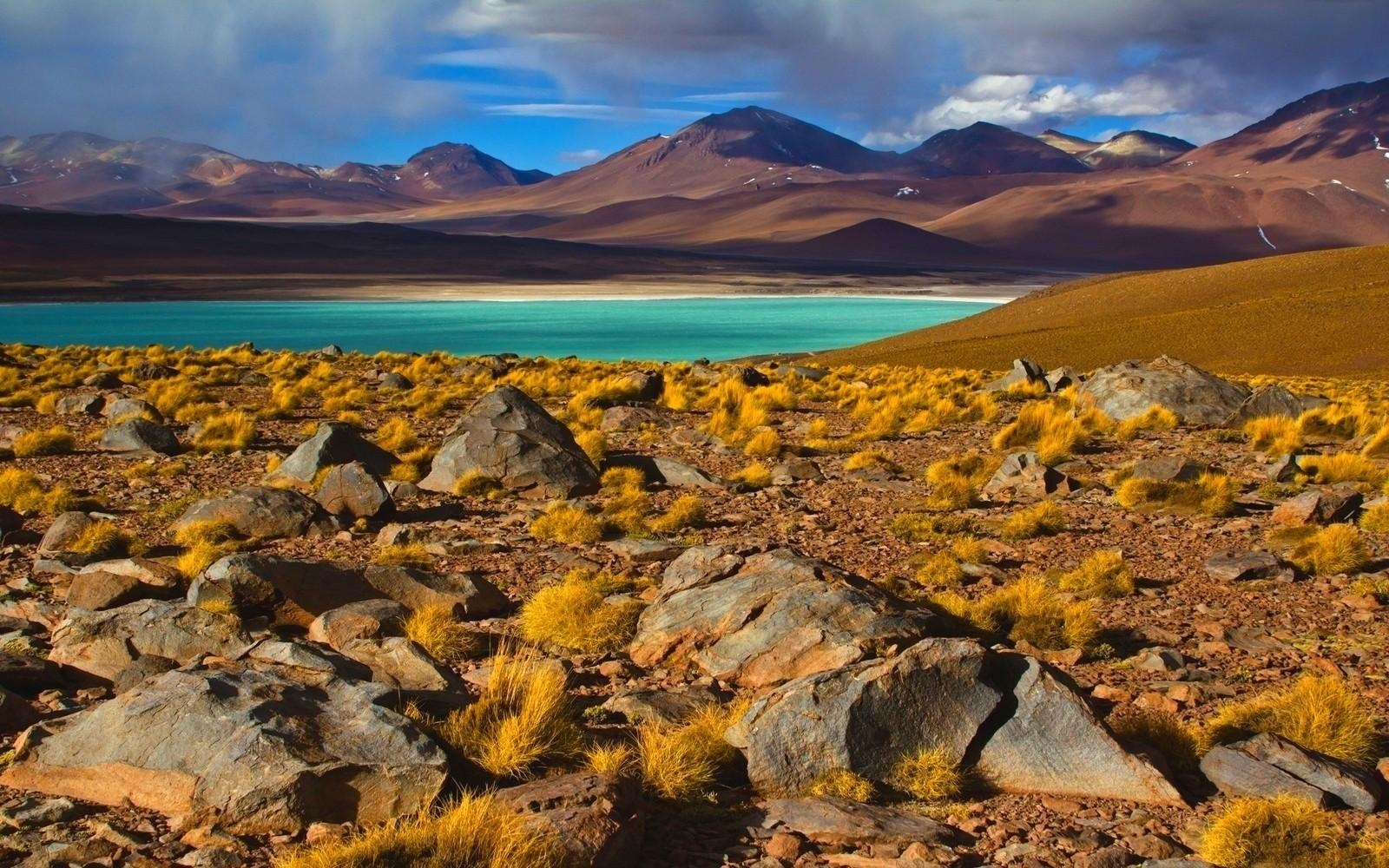 1600x1000 nature landscape photography lake shrubs mountains atacama desert, Desktop