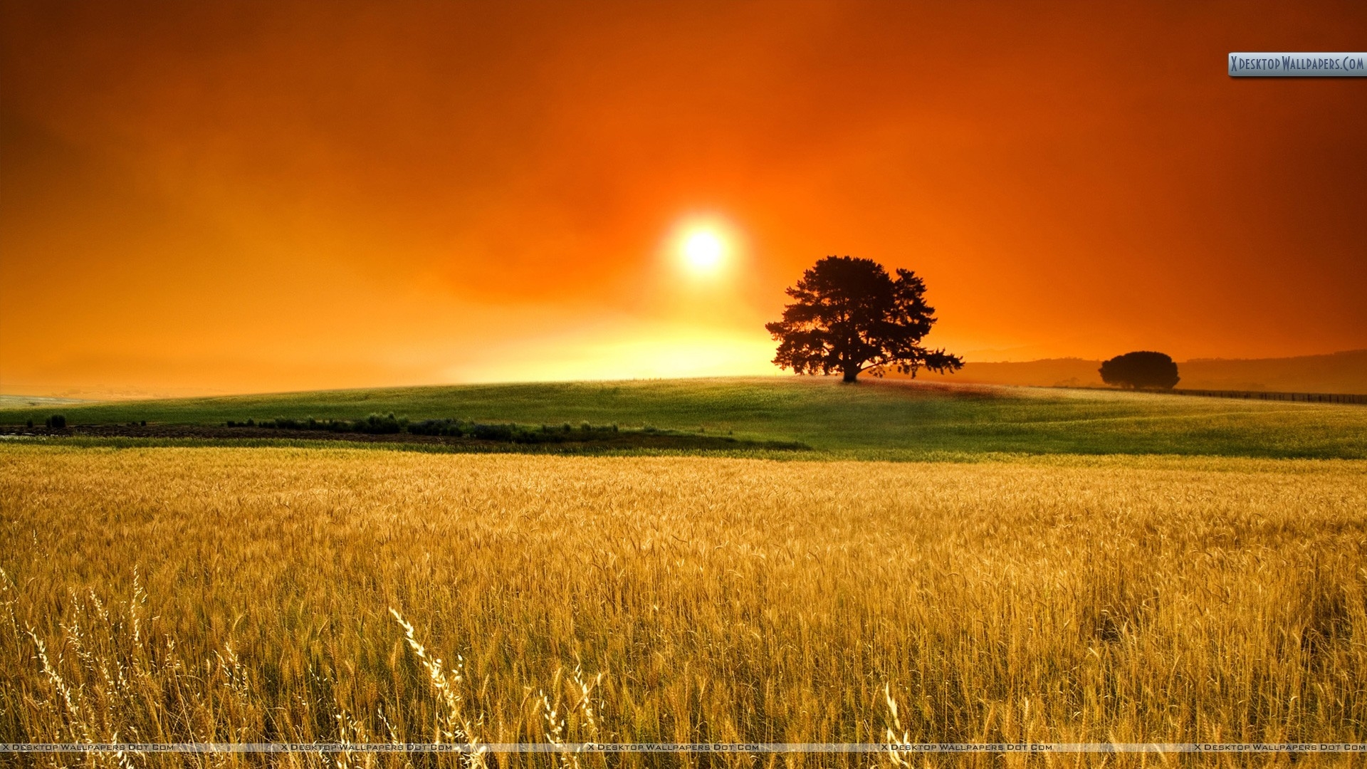 1920x1080 Sunrise Wallpaper, Photo & Image in HD, Desktop