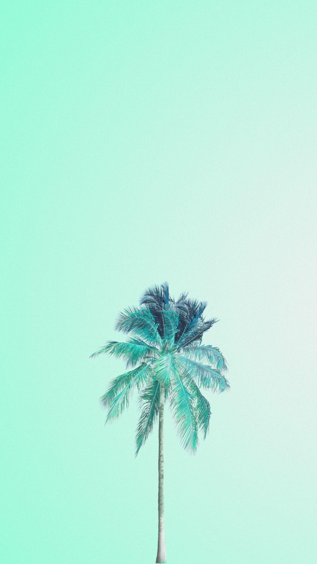 1080x1920 Mint Green Wallpaper, Phone