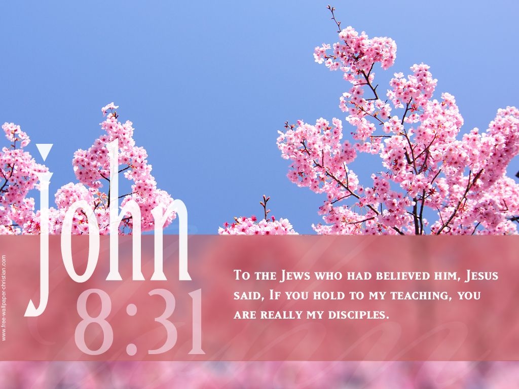 1030x770 Bible Quotes Pink. QuotesGram, Desktop