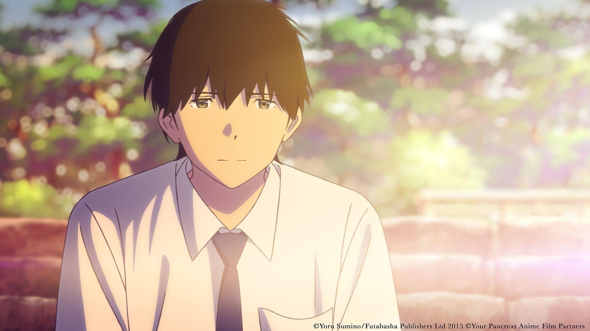 1920x1080 Should fans be excited for the anime I Want To Eat Your Pancreas, Desktop