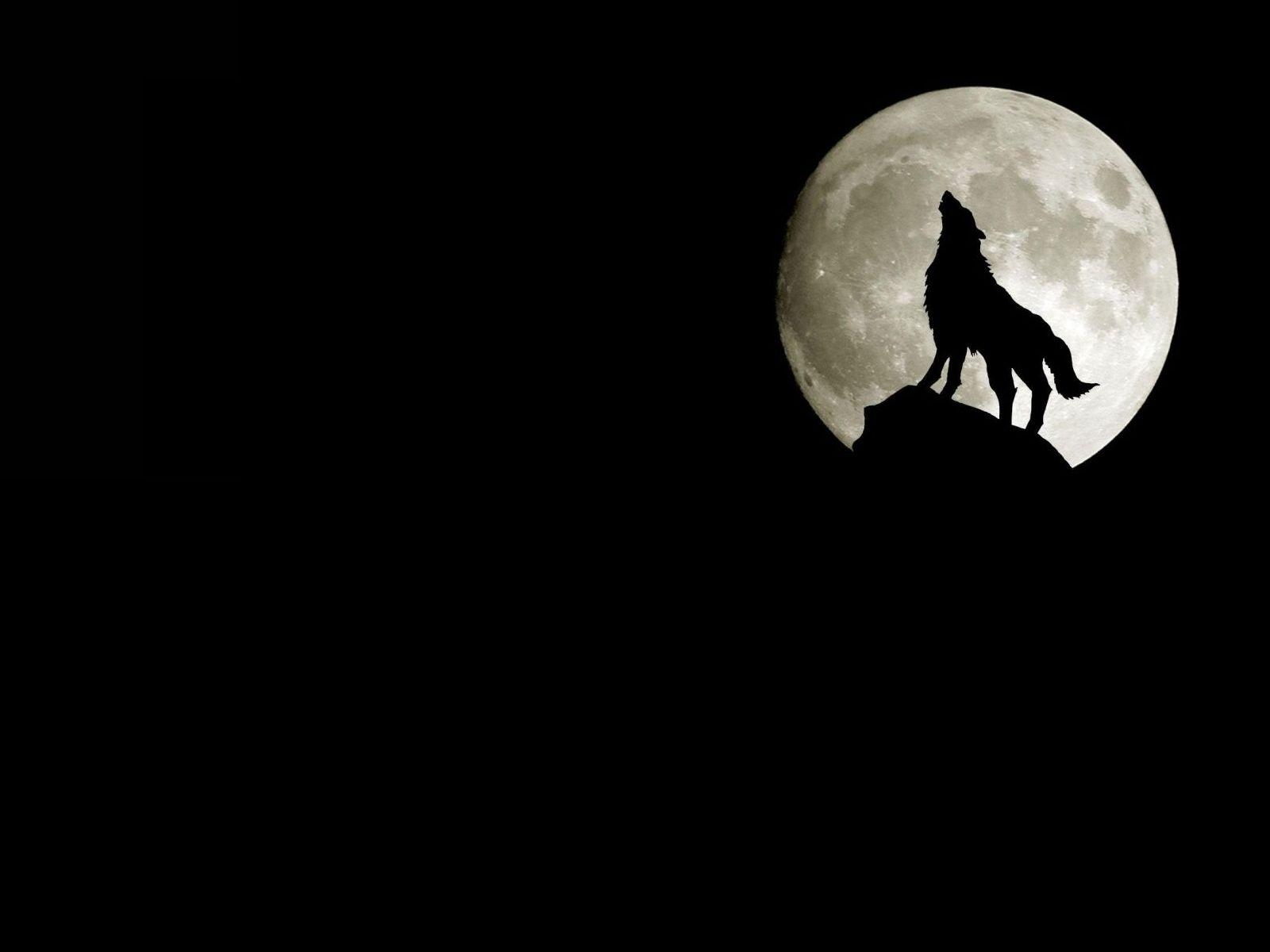 1600x1200 Wolves Howling Wallpaper HD, Desktop