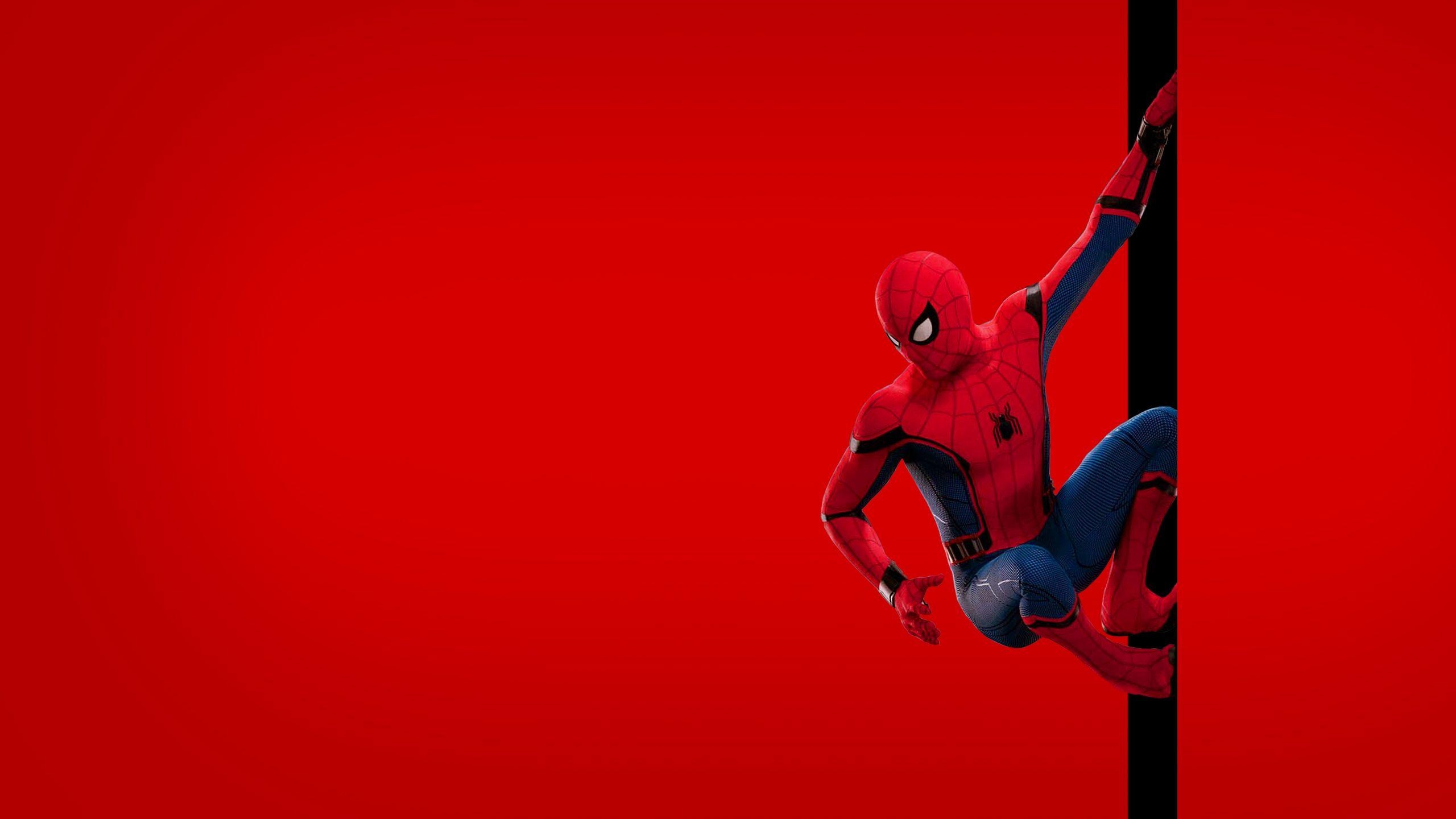 2560x1440 I Made Some Simple Spider Man Wallpaper, Desktop