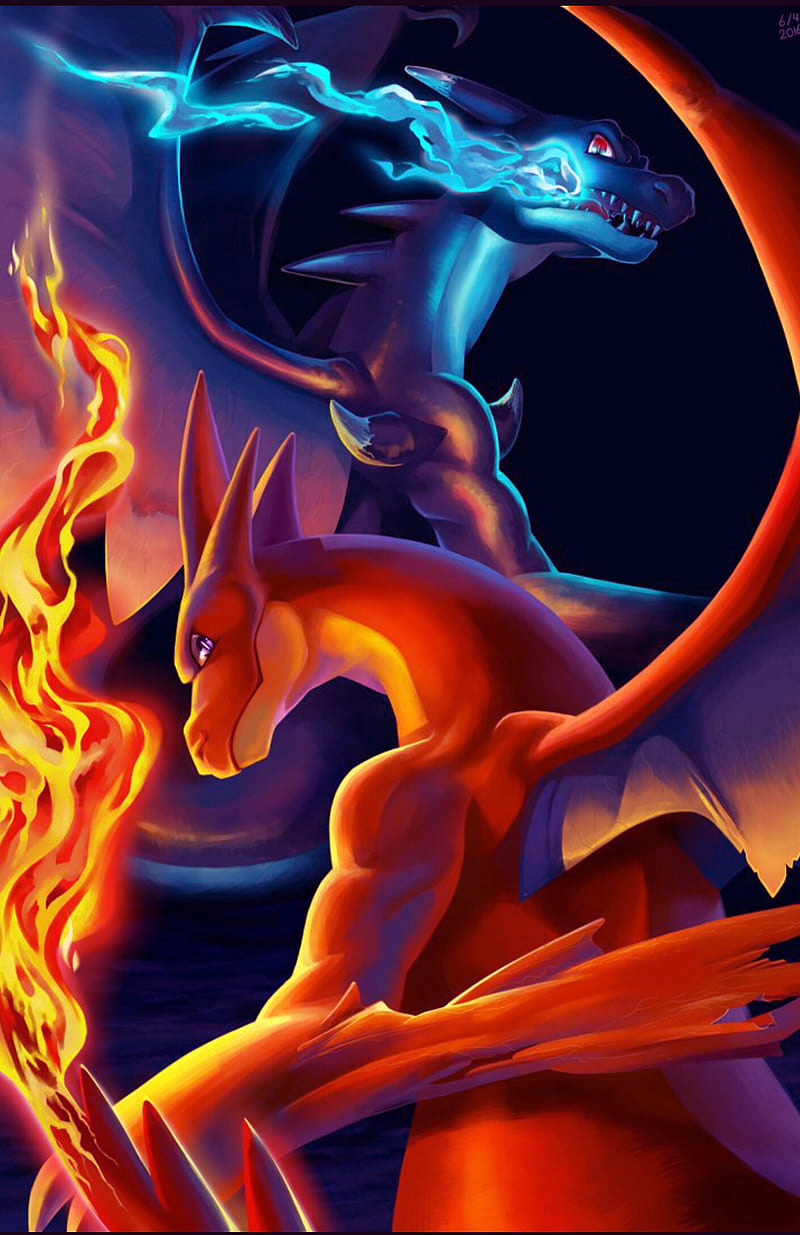 800x1240 Charizard Wallpaper, Phone