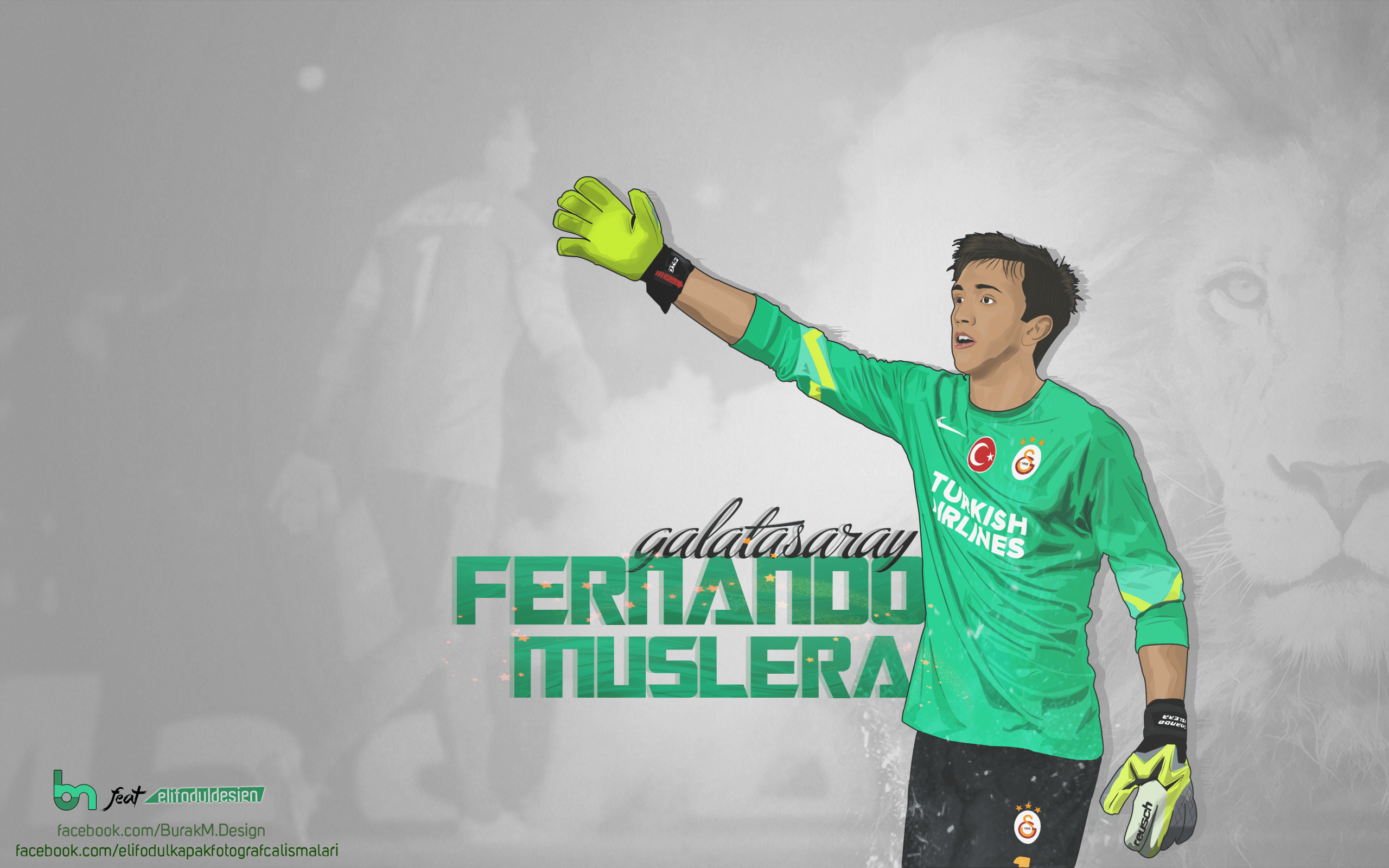 2560x1600 F.Muslera VECTOR and WALLPAPER, Desktop