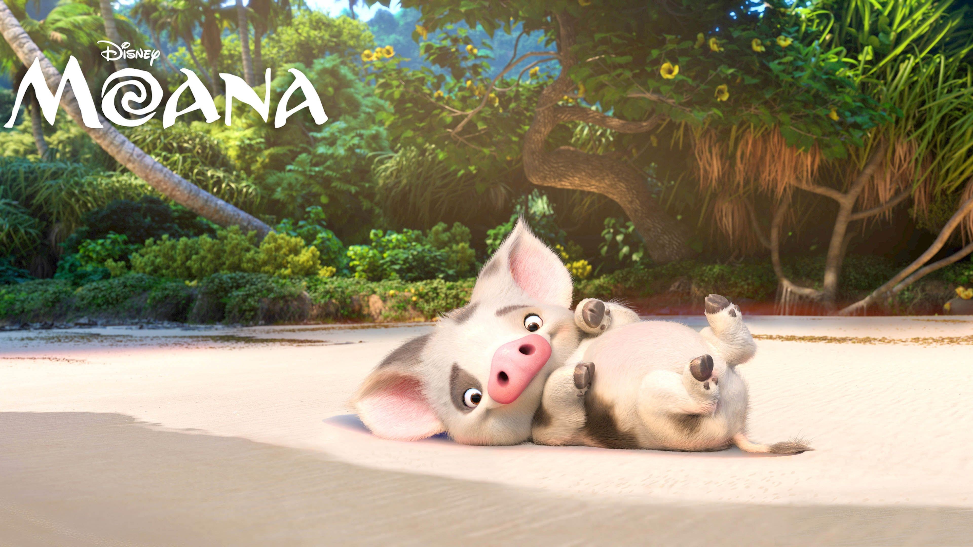 3840x2160 Pua The Pig Moana Character Promo 16 9, Desktop