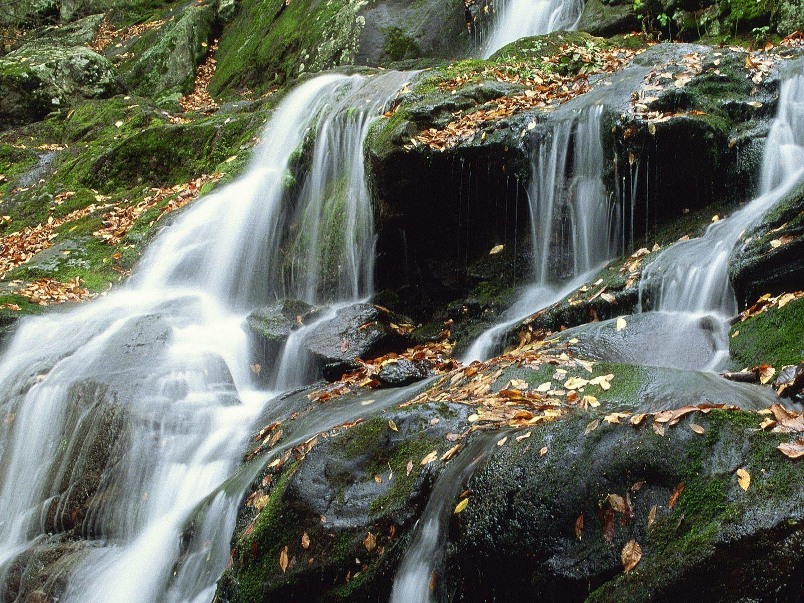 1600x1200 Image Detail for National Park Virginia US, Desktop