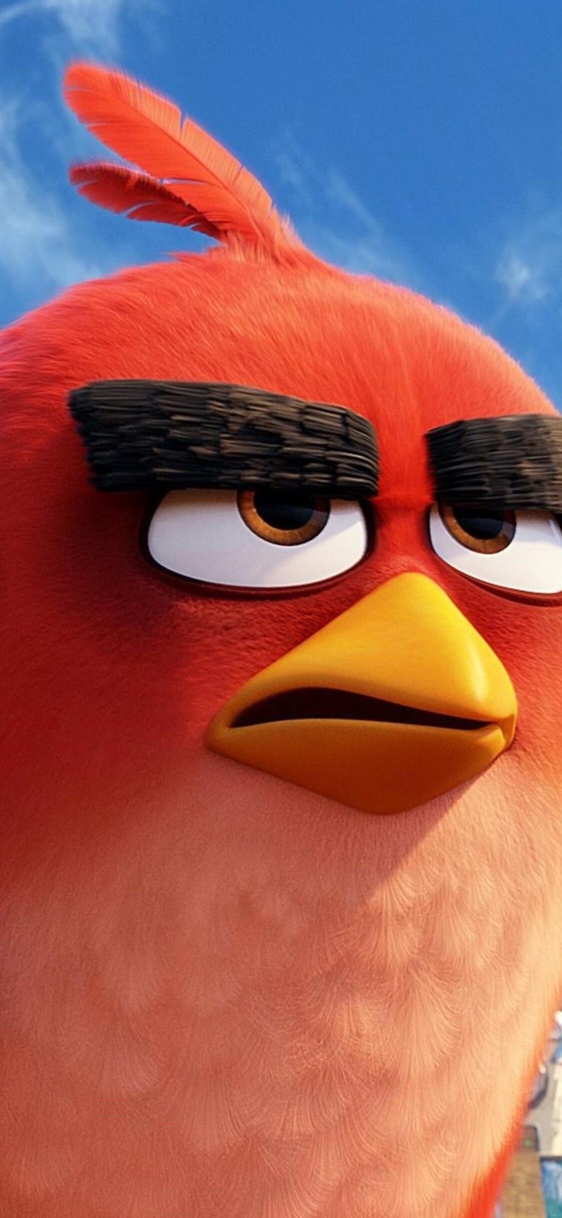 1130x2440 The Angry Birds Movie HD iPhone XS, iPhone iPhone X HD 4k Wallpaper, Image, Background, Photo and Picture, Phone