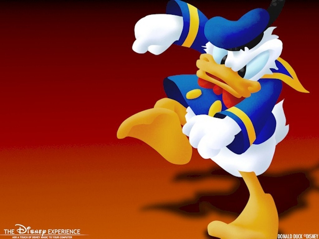 1030x770 Donald Duck Wallpaper Duck Wallpaper, Desktop