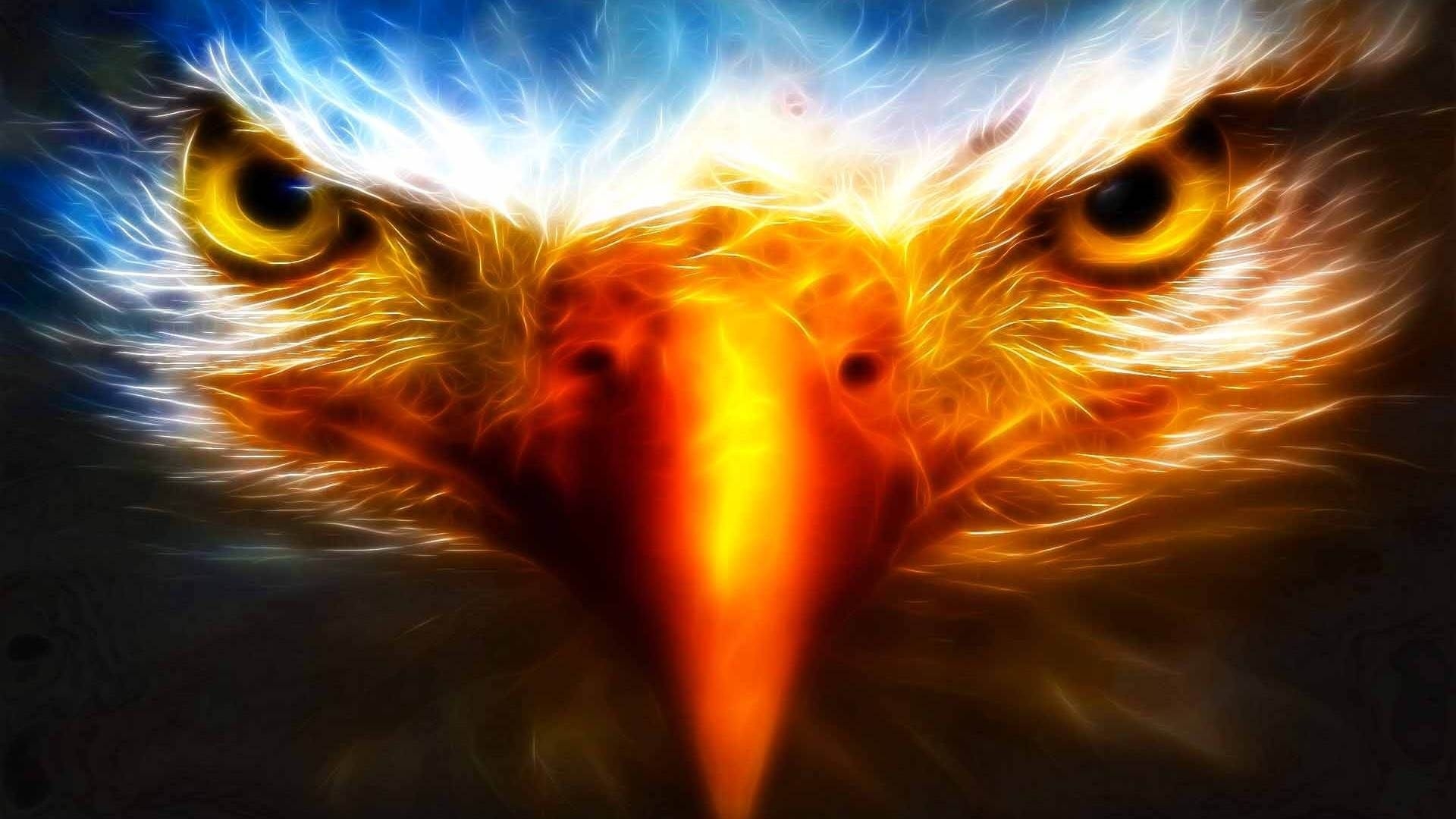 1920x1080 Bald Eagle Cool Wallpaper Free Bald Eagle Cool Background, Desktop