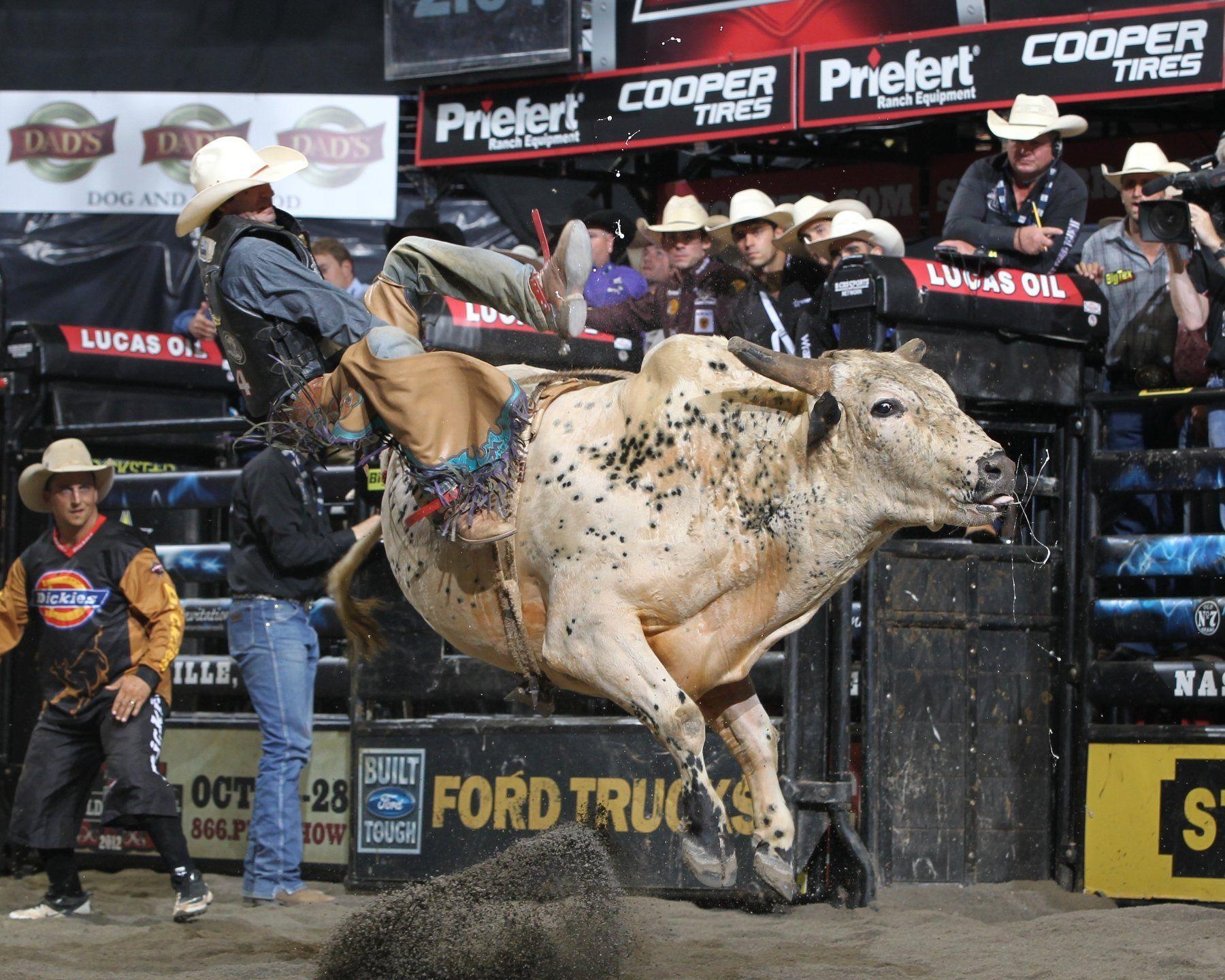 1800x1440 Bull Riding Wallpaper /bull Riding, Desktop