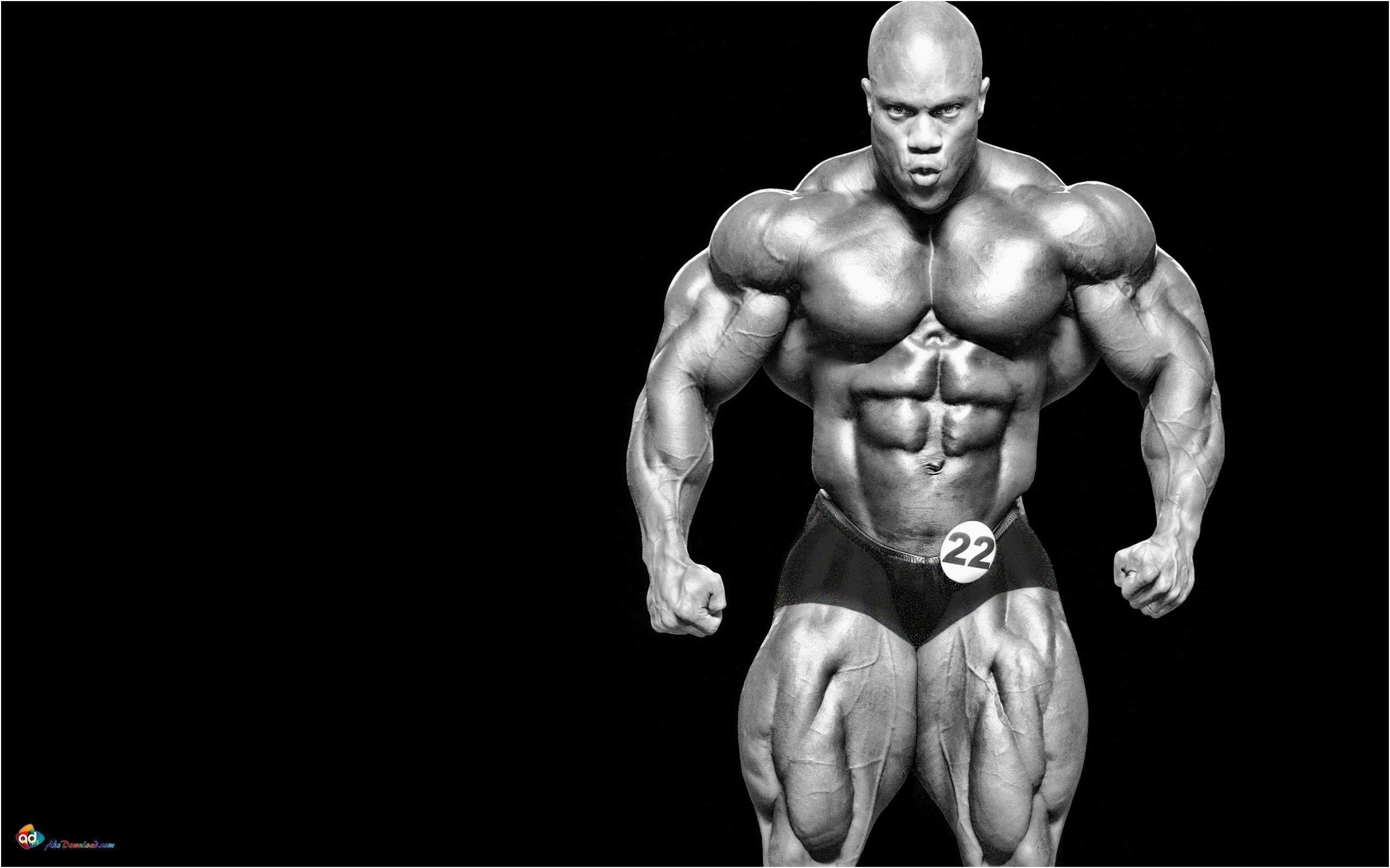 2560x1600 Bodybuilding Wallpaper Unique Bodybuilding Wallpaper Heath 2020 Mr Olympia HD Wallpaper, Desktop