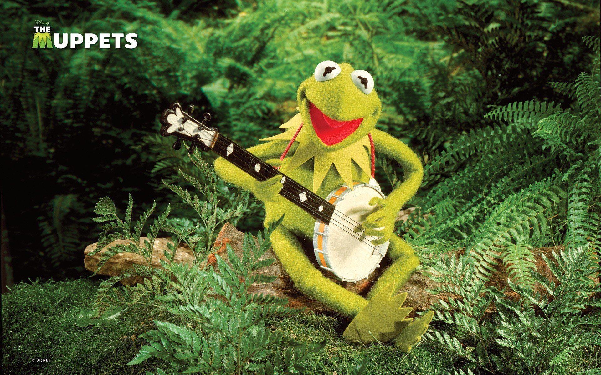 1920x1200 Kermit The Frog Wallpaper Wide, Desktop