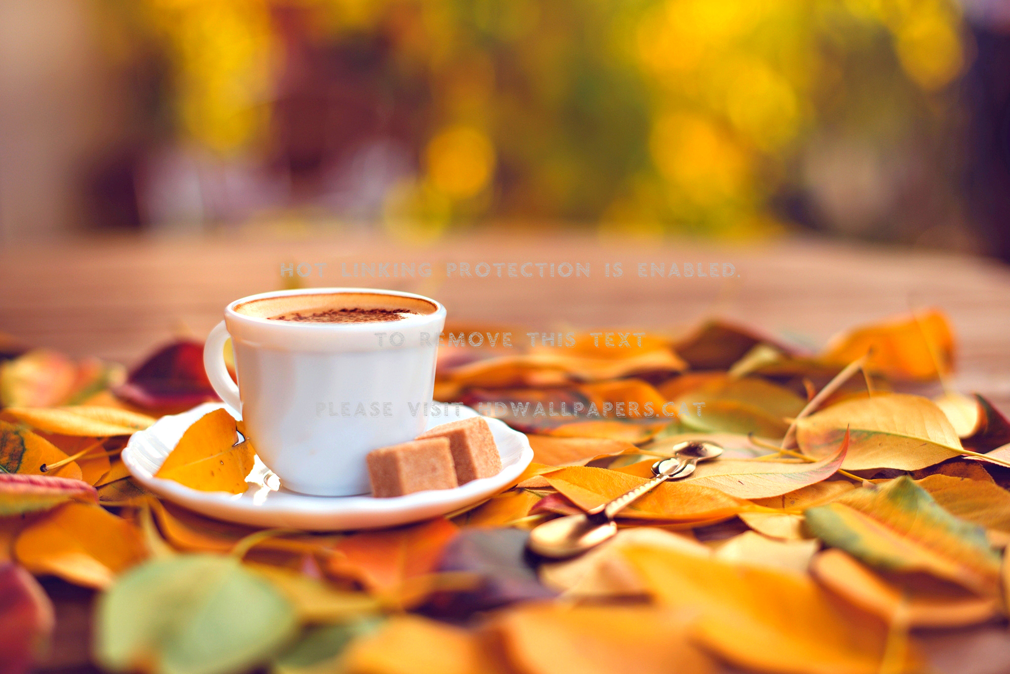 2000x1340 autumn coffee cup leaves splendor fall, Desktop