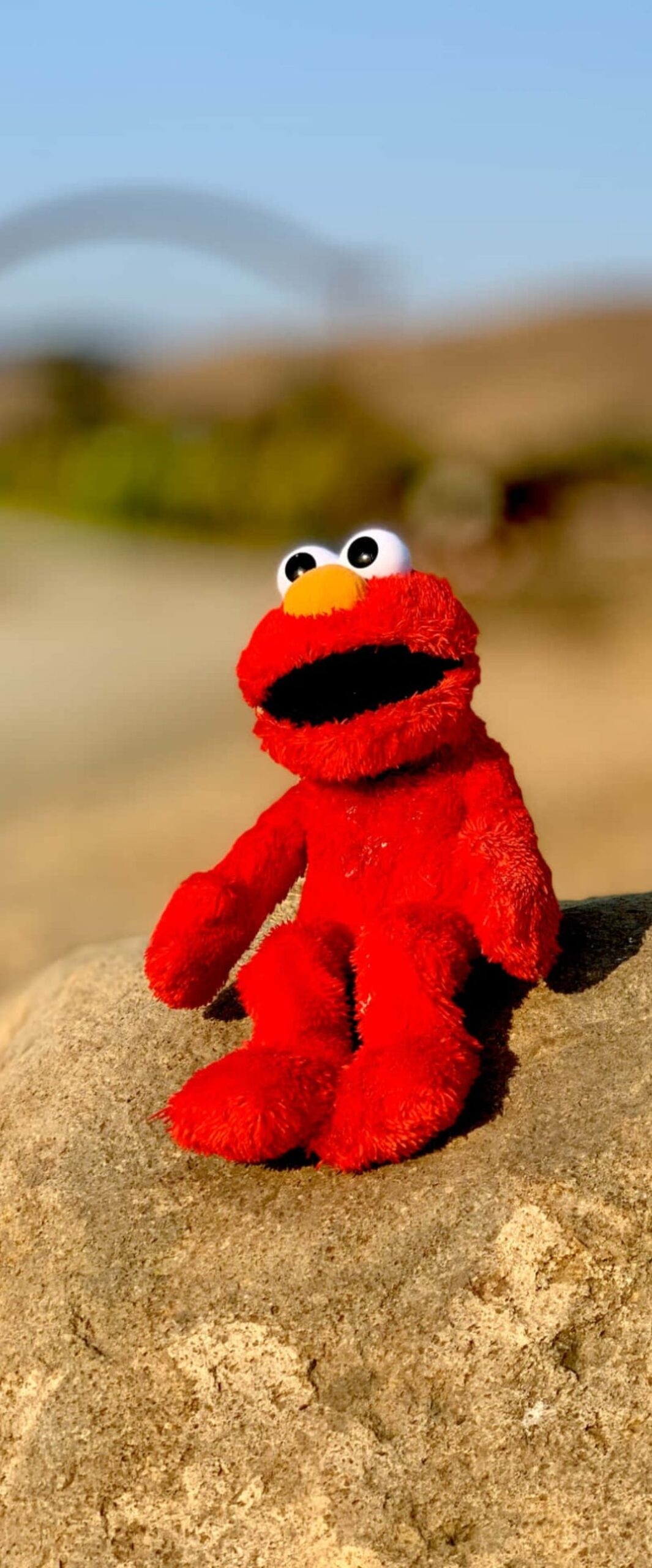 1070x2560 Best Elmo iPhone Wallpaper 4k, Phone