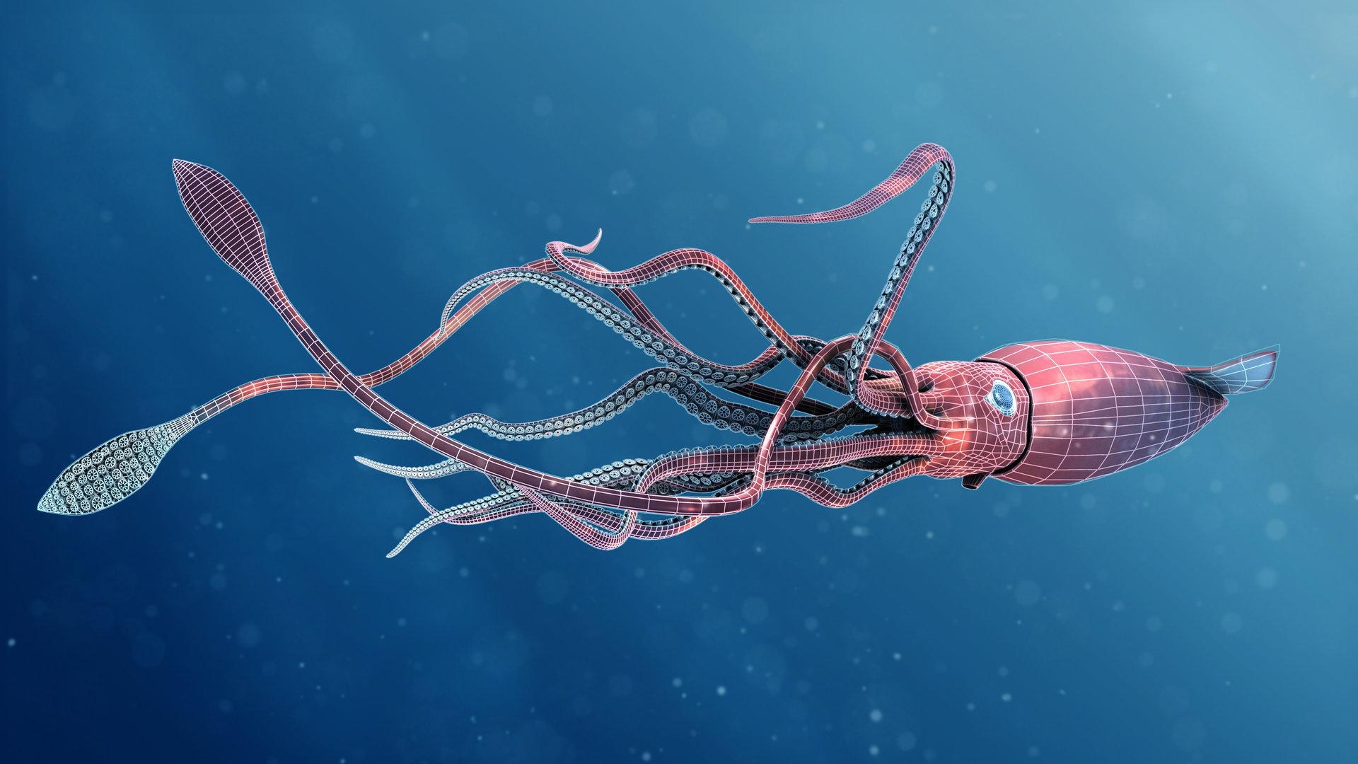 1920x1080 Giant Squid, Matt Stewart, Desktop