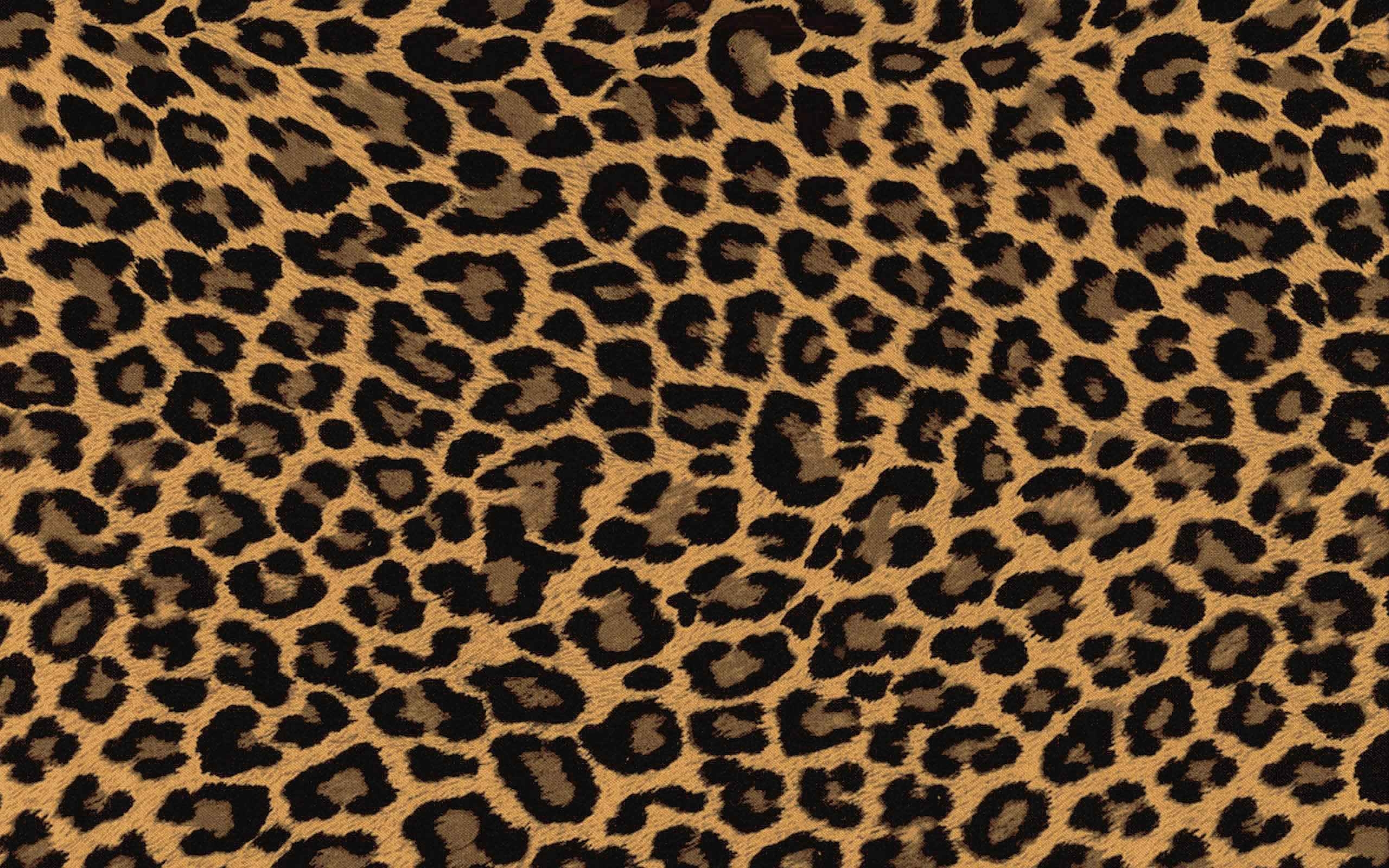 2560x1600 Leopard Print Wallpaper, Desktop