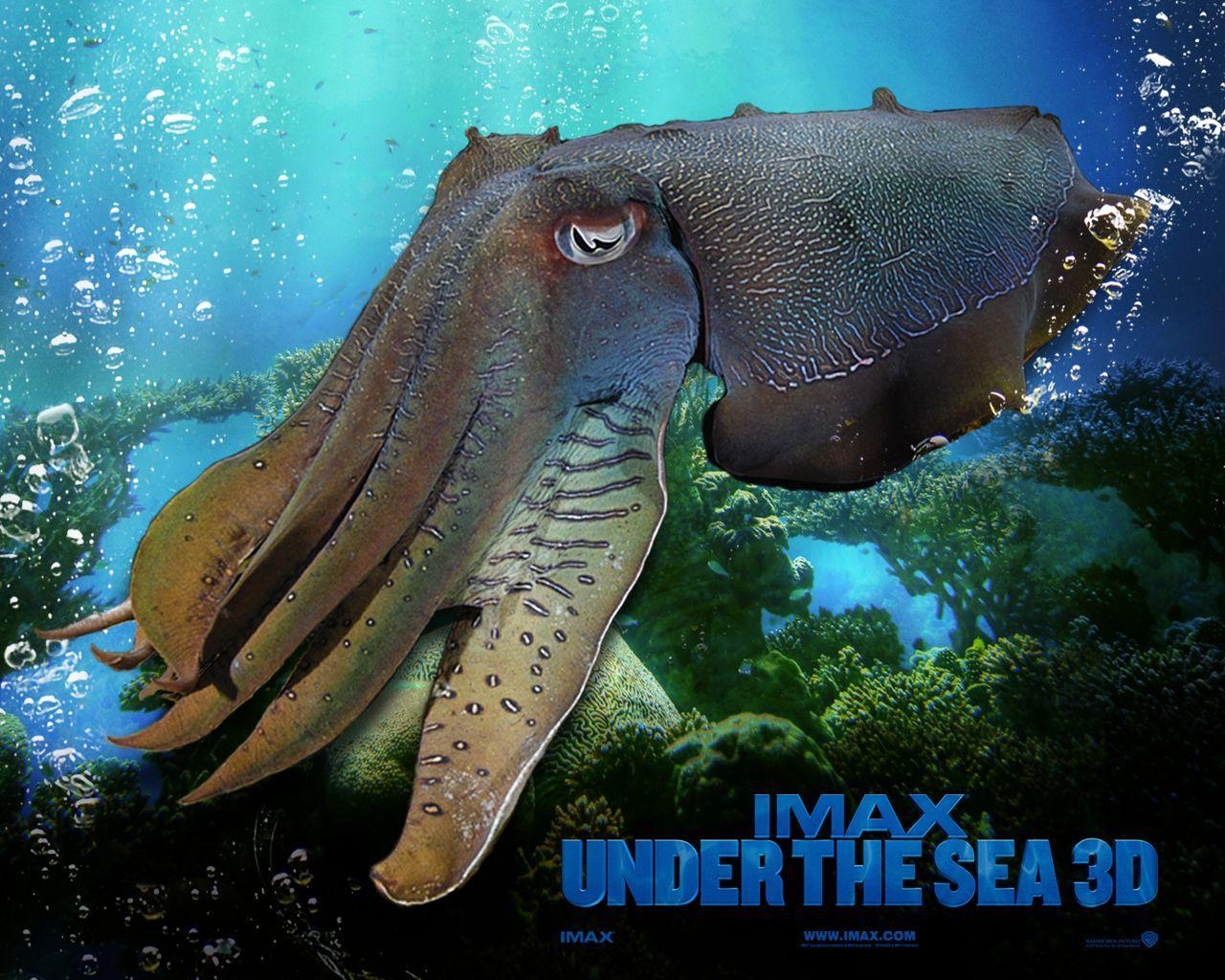 1280x1030 IMAX Under The Sea Wallpaper, Desktop